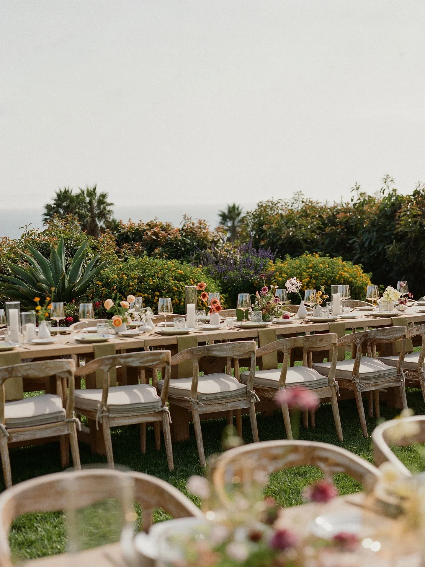 Summer colors ~ seaside garden party with a twist🌸🧡🦋

#organicstyle #naturallandscape #gardenpartywedding #summerweddings #californiaweddingplanner #destinationweddingplanner #tablescape #popofcolor #naturaldesign