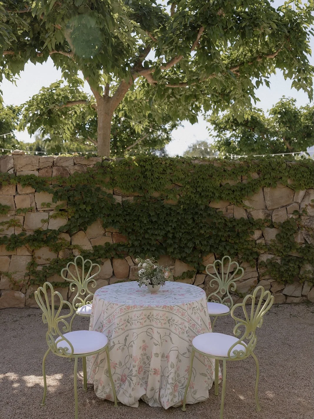 These chairs make my soul happy ✨🌞Cocktail hour details on a sunny Saturday in Ojai

@surrayaevents 
@laprovenceinojai 
@alibeckphoto 

#weddingdesign #detailshots #cocktailhour #furnituredesign #weddingdetails