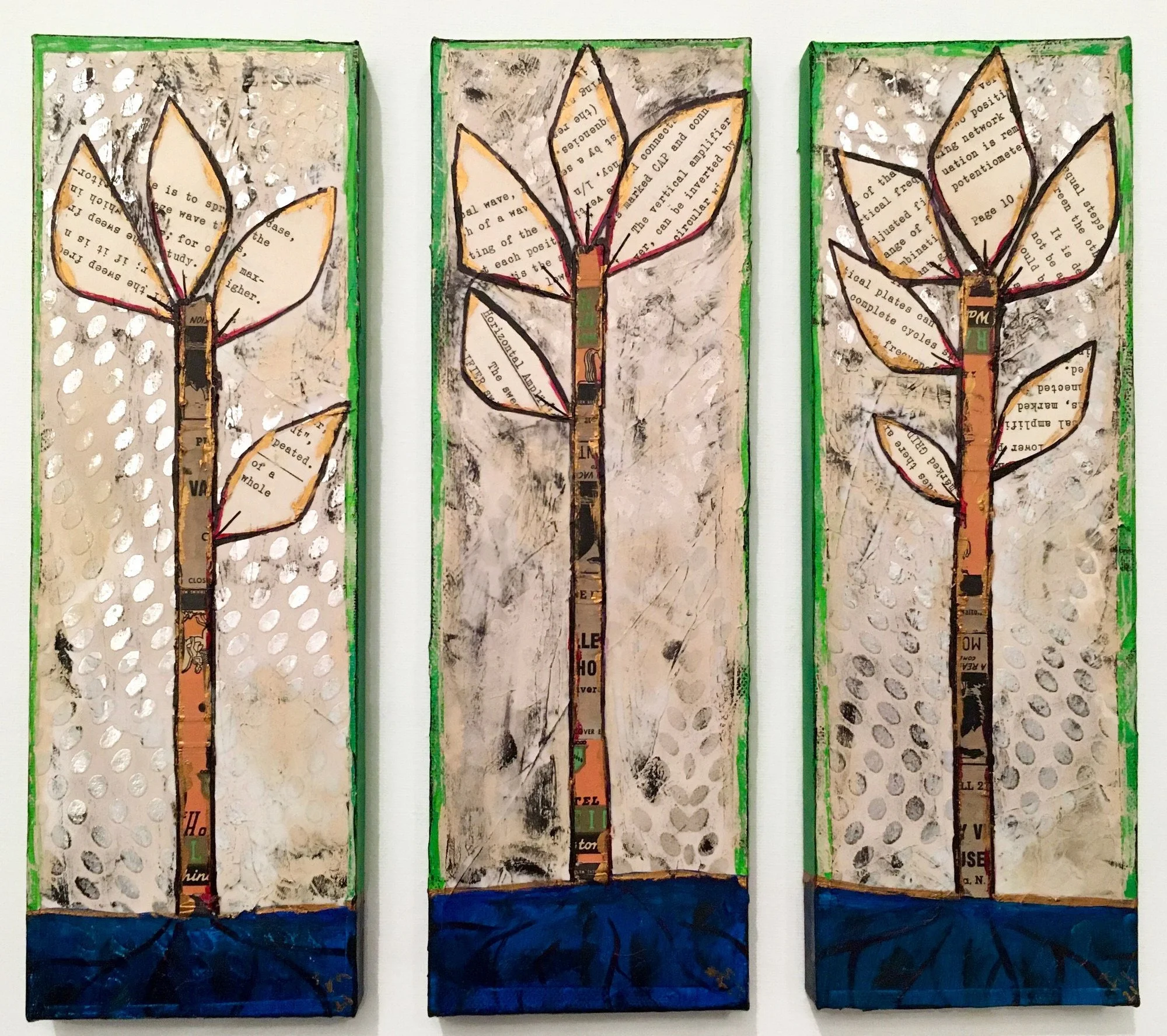seedling triptych.JPG