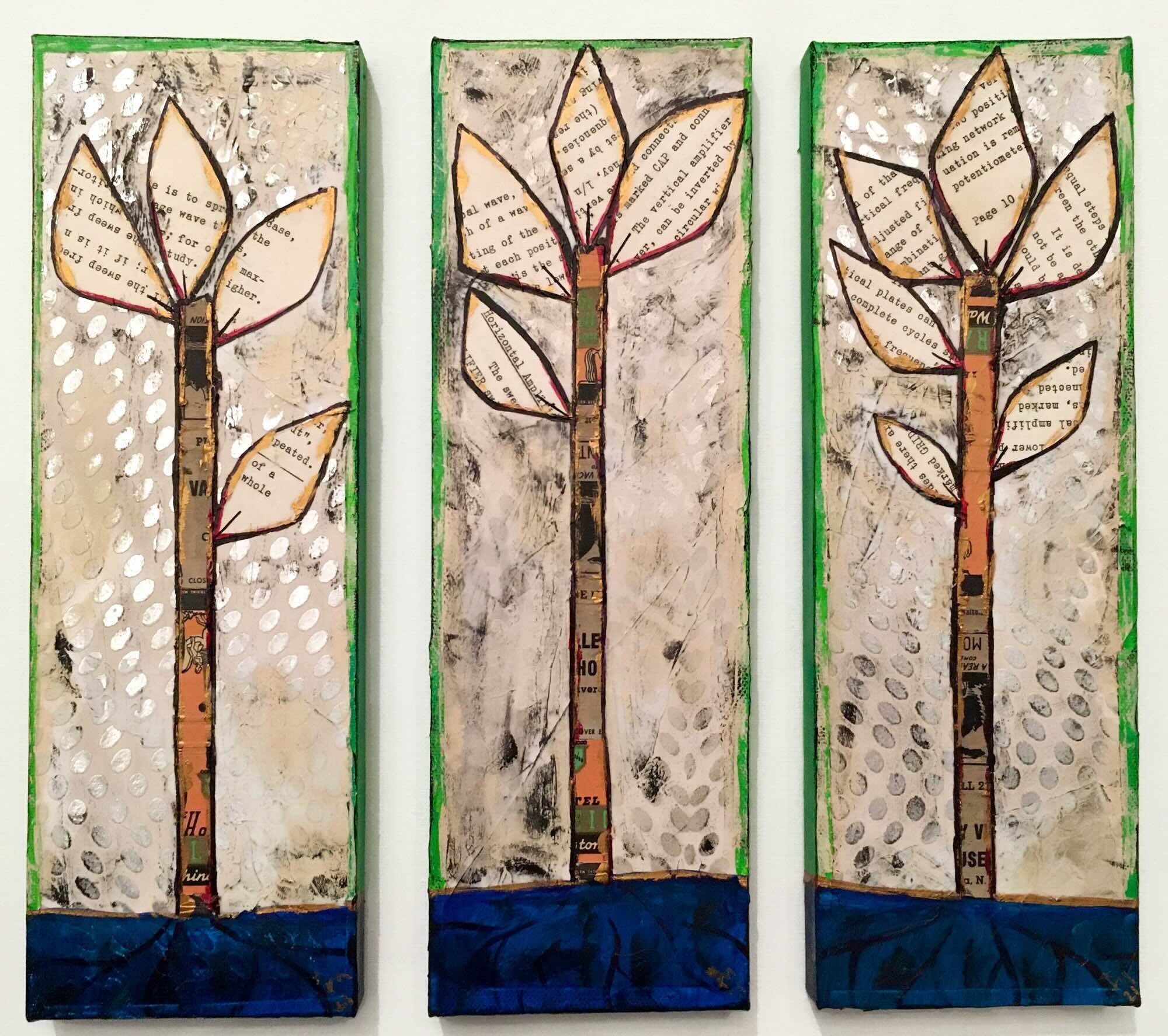 seedling triptych.jpeg