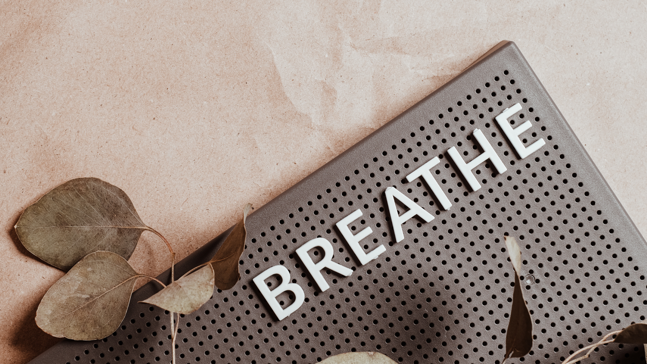 Breathe: The Simplest Wellness Tool You Already Have