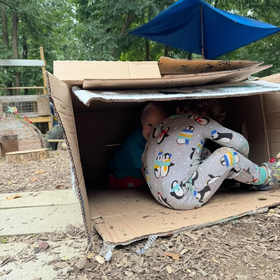 Hey! Our birthday is next week. Did you know you can also give us the gift of your old trash? 🤩

We are always on the lookout for:
Cardboard boxes 
Used rugs 
Those food divider plate things 
Containers with lids 
Old phones
Old clocks
Old suitcases