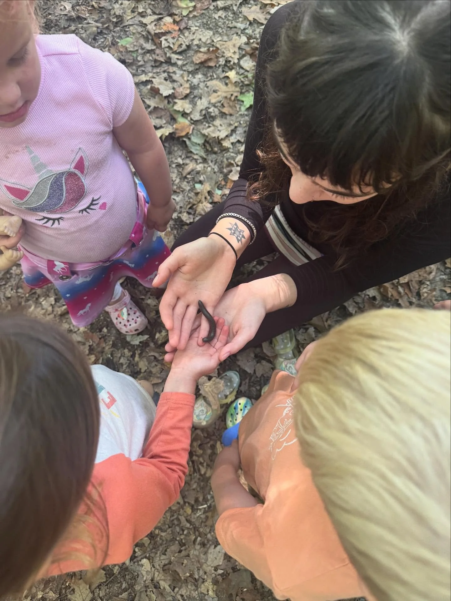Hey! We are hiring a teacher assistant at the farm starting mid November. We&rsquo;d love someone to join our team who loves working with young children following and continuously learning about research based, developmentally appropriate practice. W