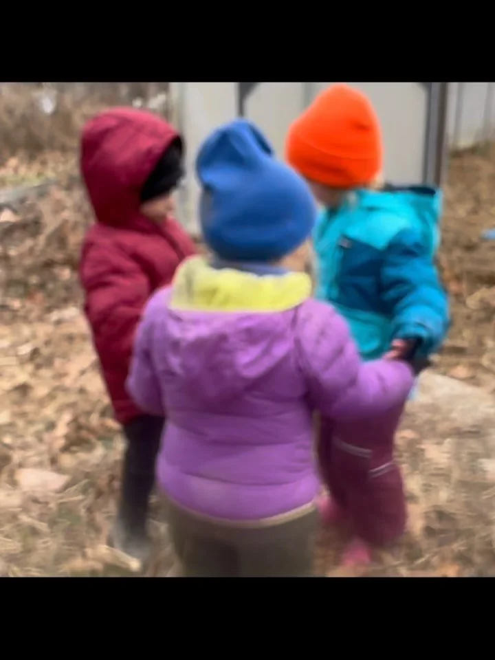 2025 was such a special year at the farm! 
Together the children planned a garden, started seeds, transplanted plants, and in the fall harvested a lot of vegetables! 
We tapped maple trees &amp; sang songs of thanks to them. We boiled the sap over th