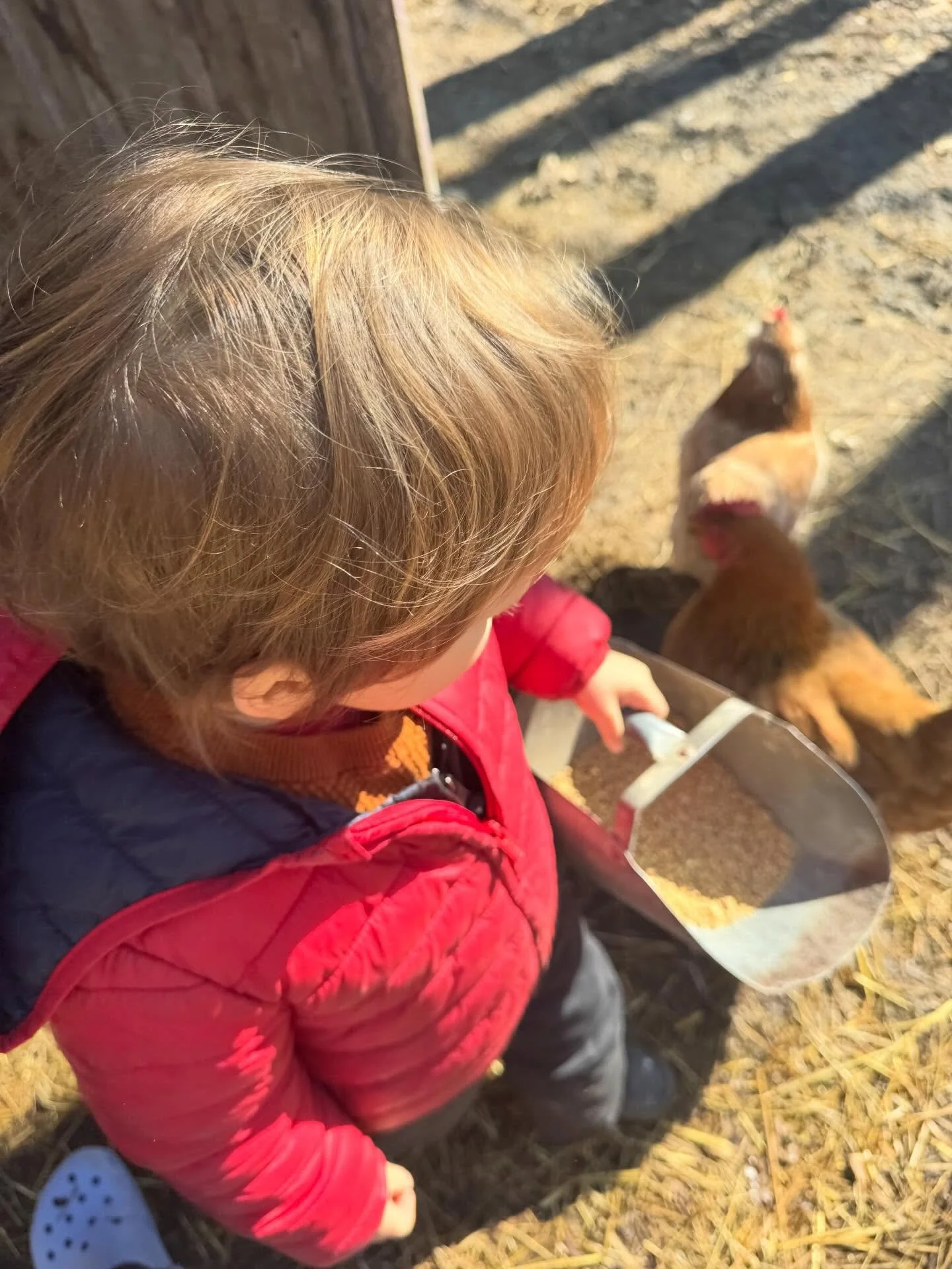 Some moments from the end of winter ❄️