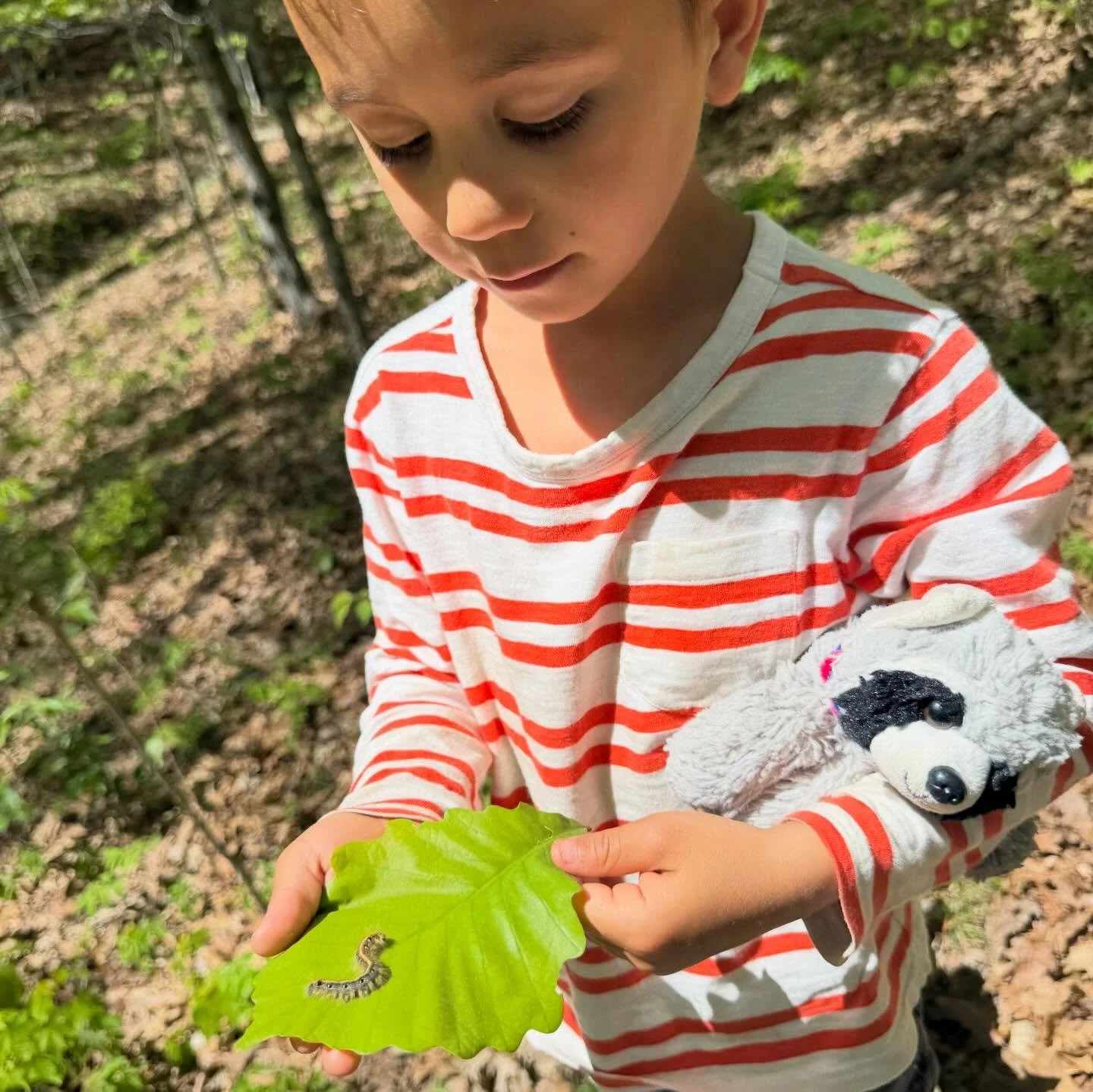 🌎 Earth Day 🌎 

We are so lucky that every day is earth day at Cedar Valley 🌱 

Here are a few shots of things the farmers got up to today 🌸