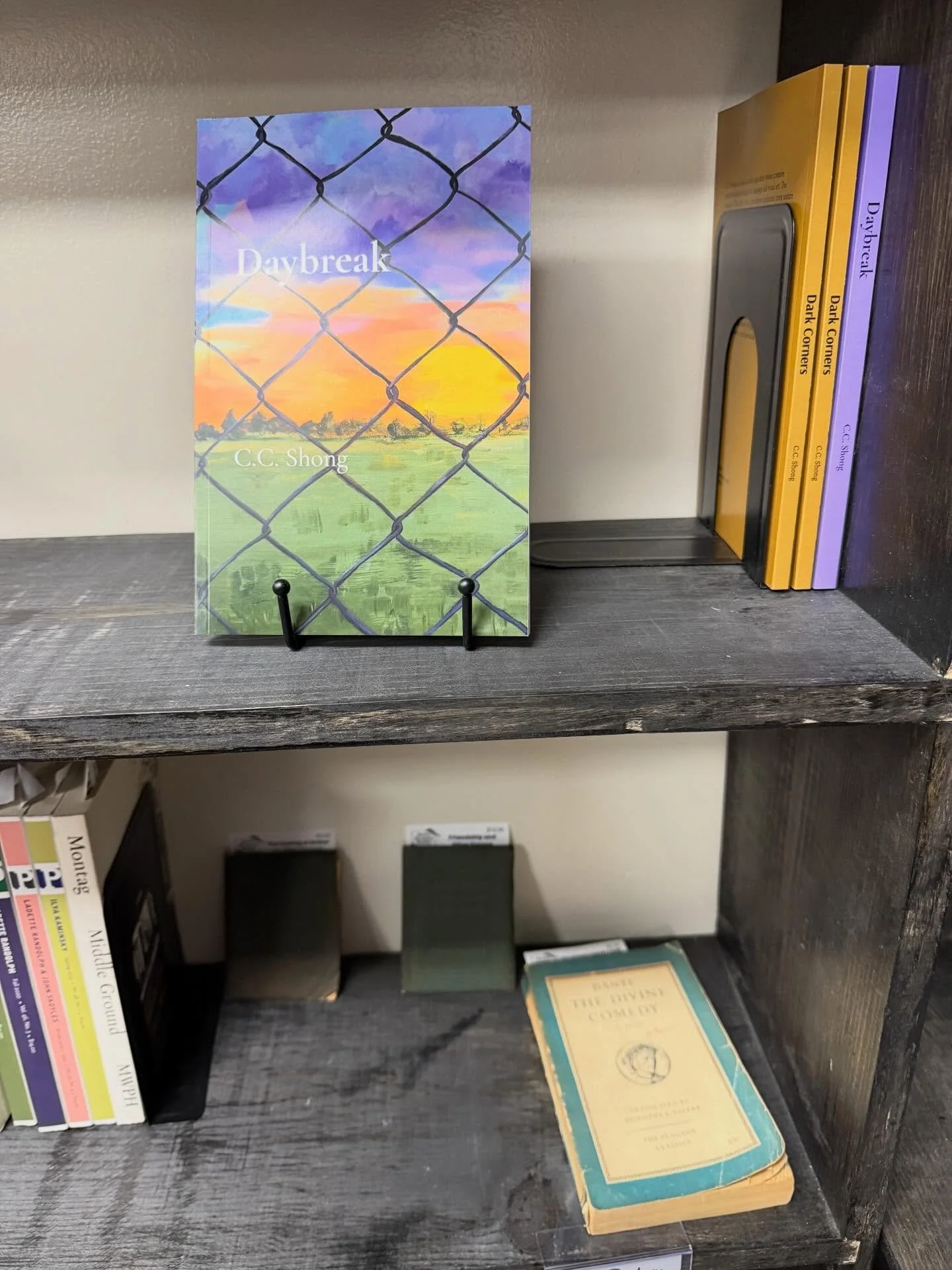 My books placed next to the divine comedy at @storykeepersbooks is such a warm surprise for me 🩷🩷 this week keeps feeding my soul