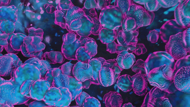 textura4.gif