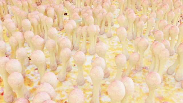 textura2 1.gif
