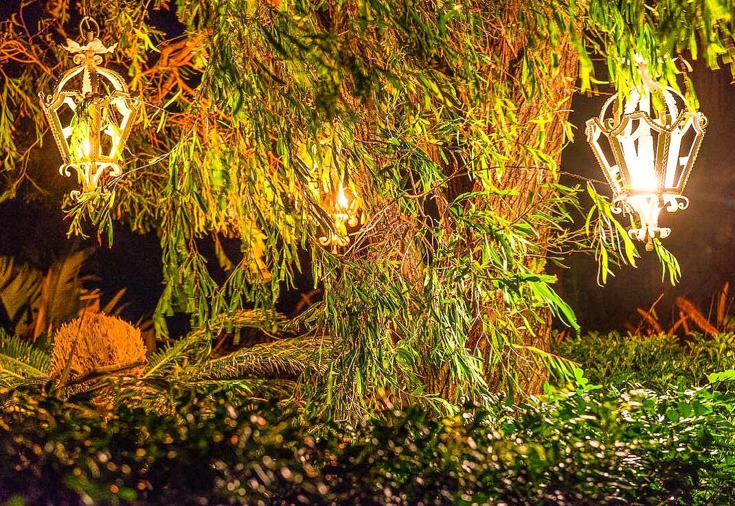 Nothing like some dramatic garden lighting to set the mood for your outdoor space🕯

Antique lanterns hang from the pendulous branches of an Agonis flexuosa at our Palm Beach project. 

.

.

.

.

.

#landscapephotography #landscapedesign #landscape