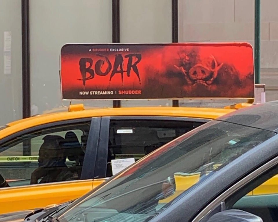 New York BOAR.jpg