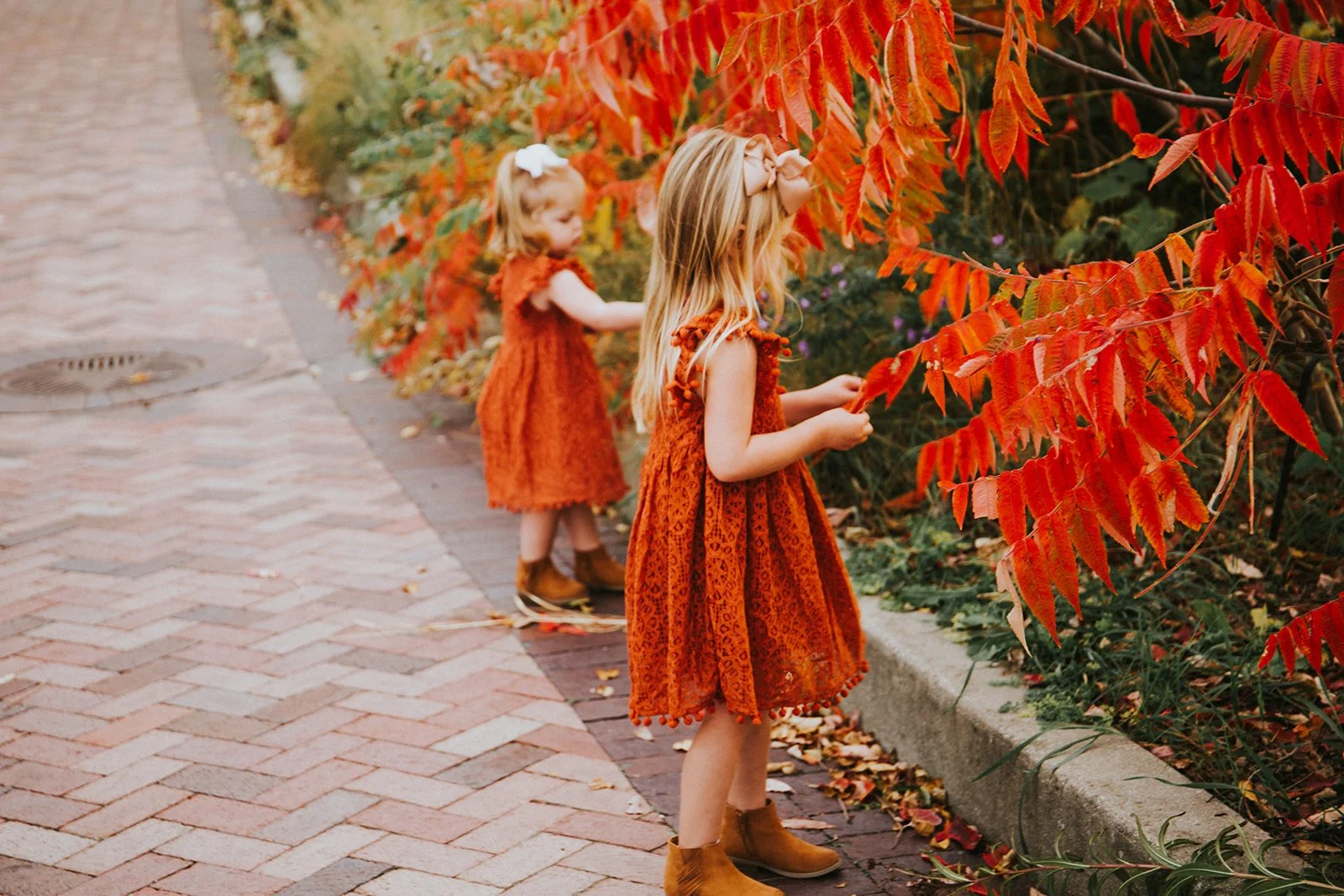 Shelby Birtcher Photography