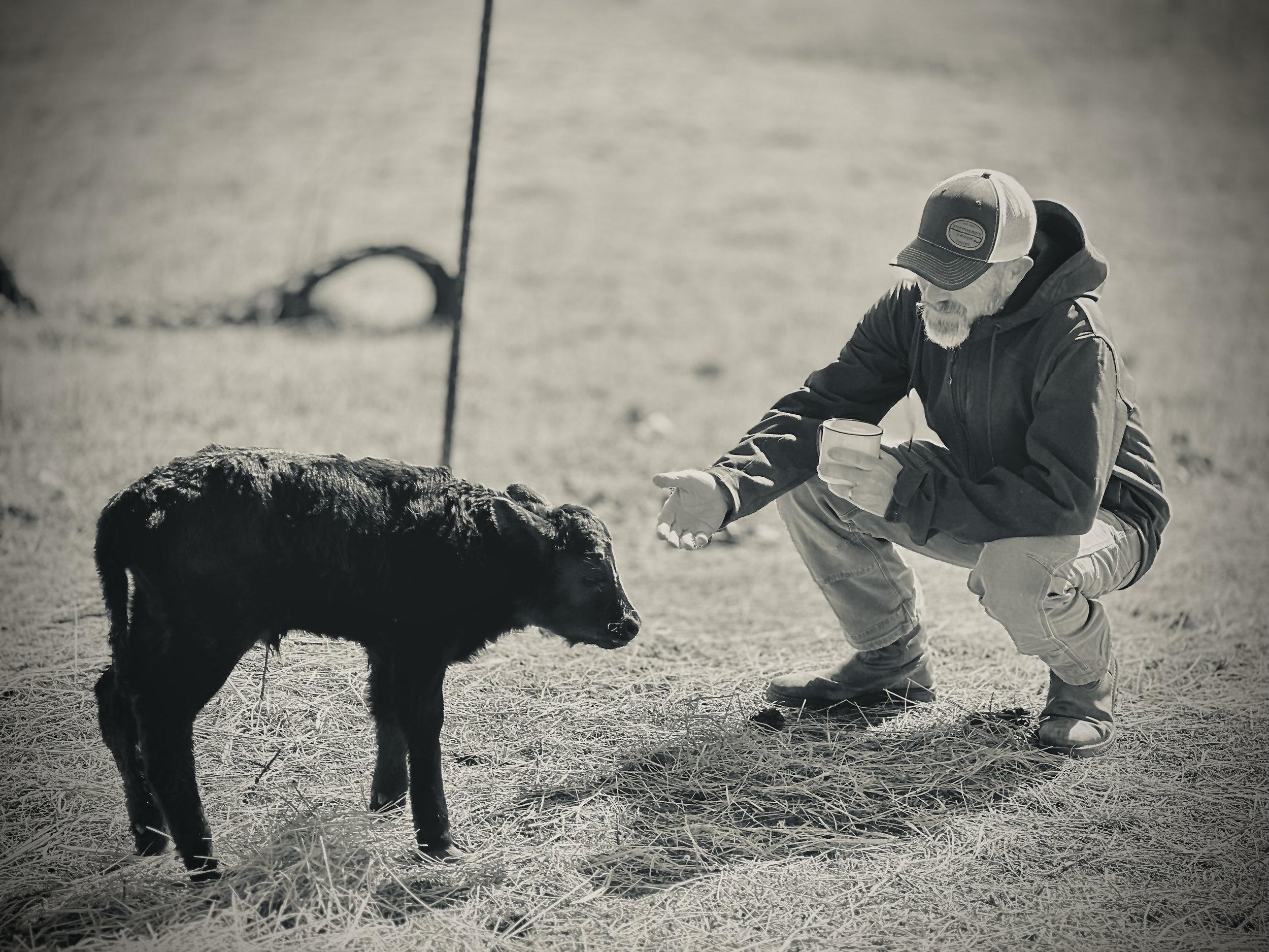 IMG_HERDSMAN.jpg