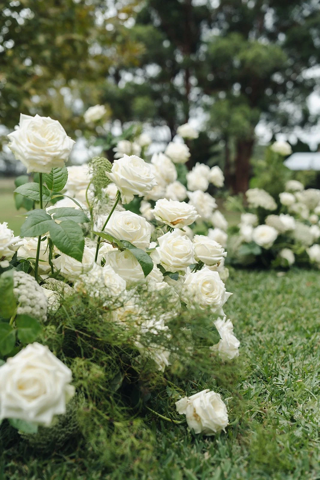 White roses used throughout the wedding florals at Krinklewood Estate.
