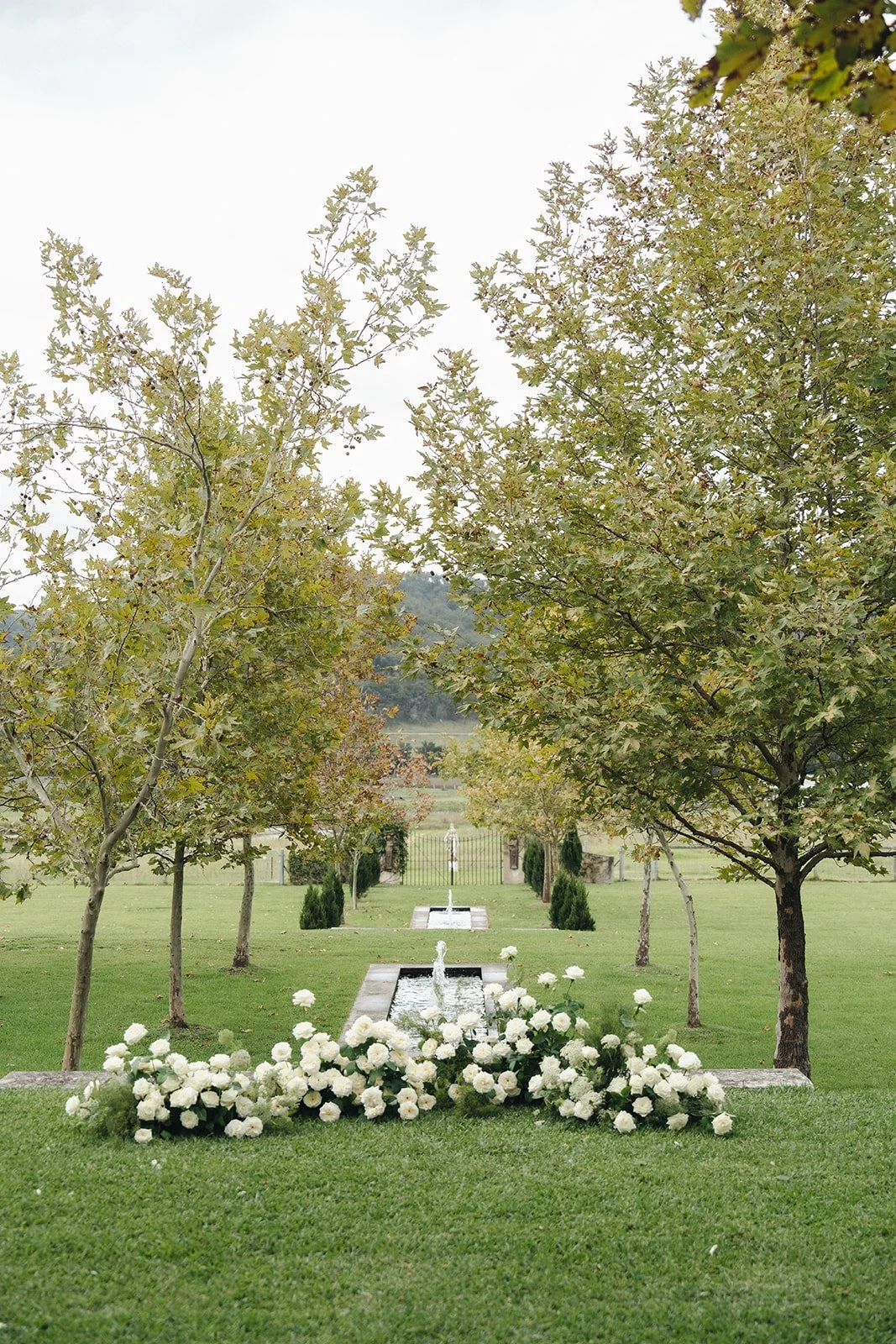The ceremony set in front of the fountain at Krinklewood Estate, surrounded by gardens in the Hunter Valley.