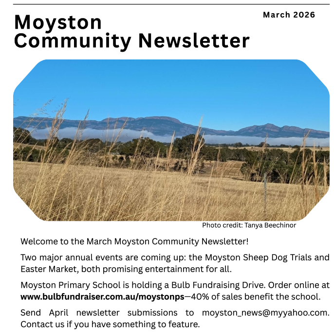 Newsletter - March 2026