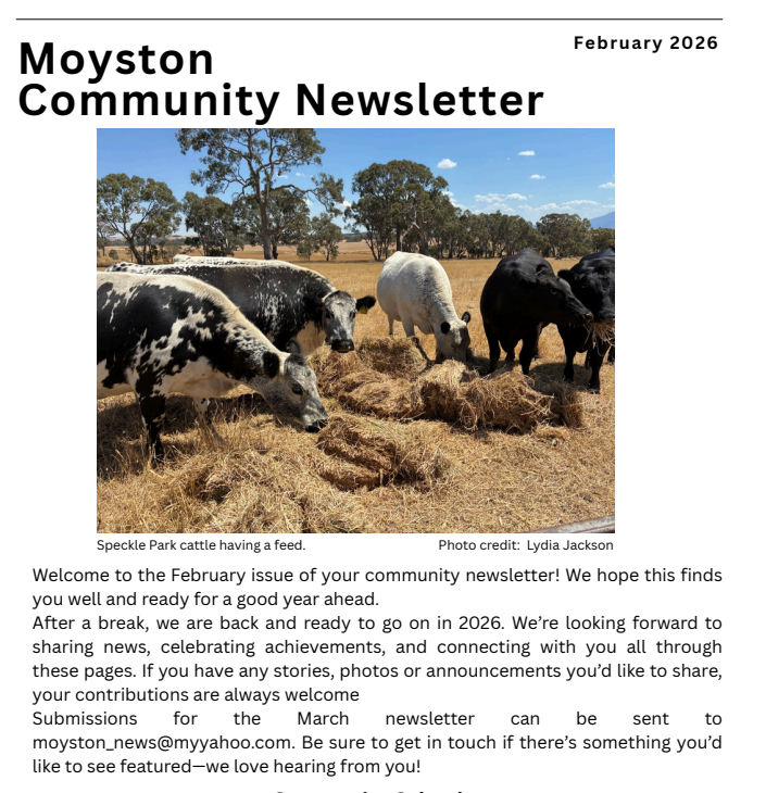 Newsletter - February 2026