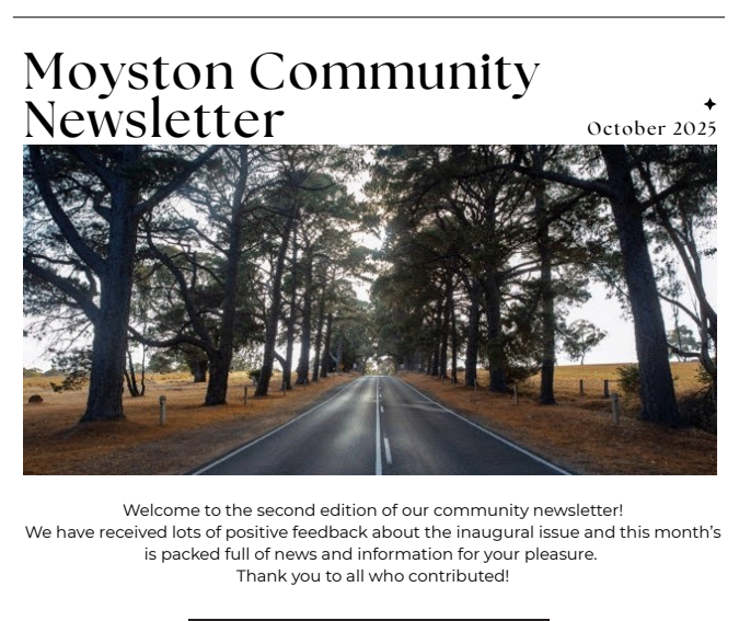 Newsletter - October 2025 