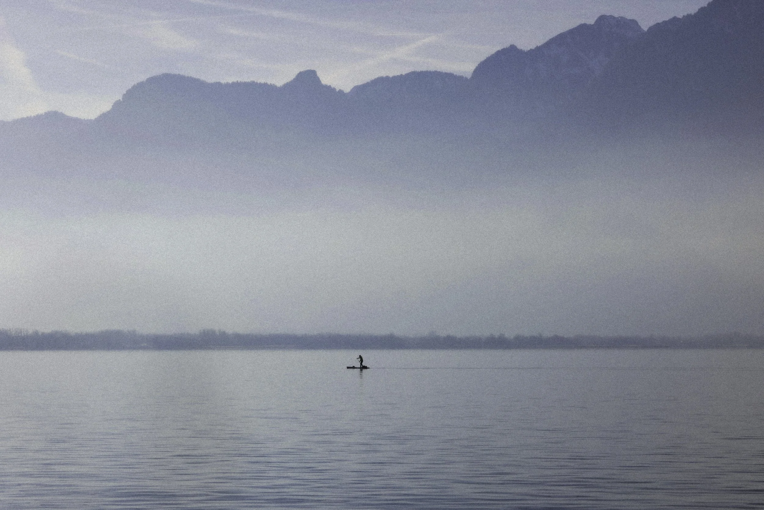 AP8A5395-Edit copy.jpg