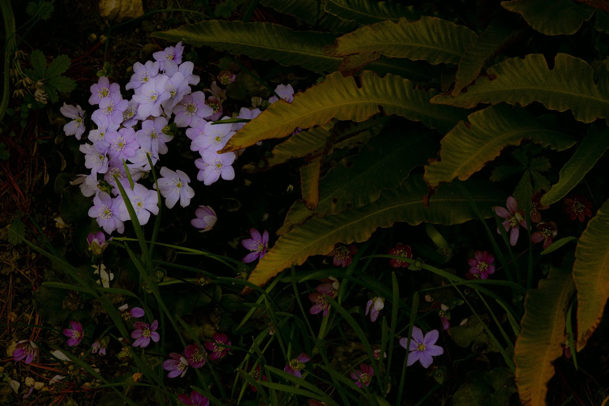 2026_03_10_IMG_0925 copy-3.jpg