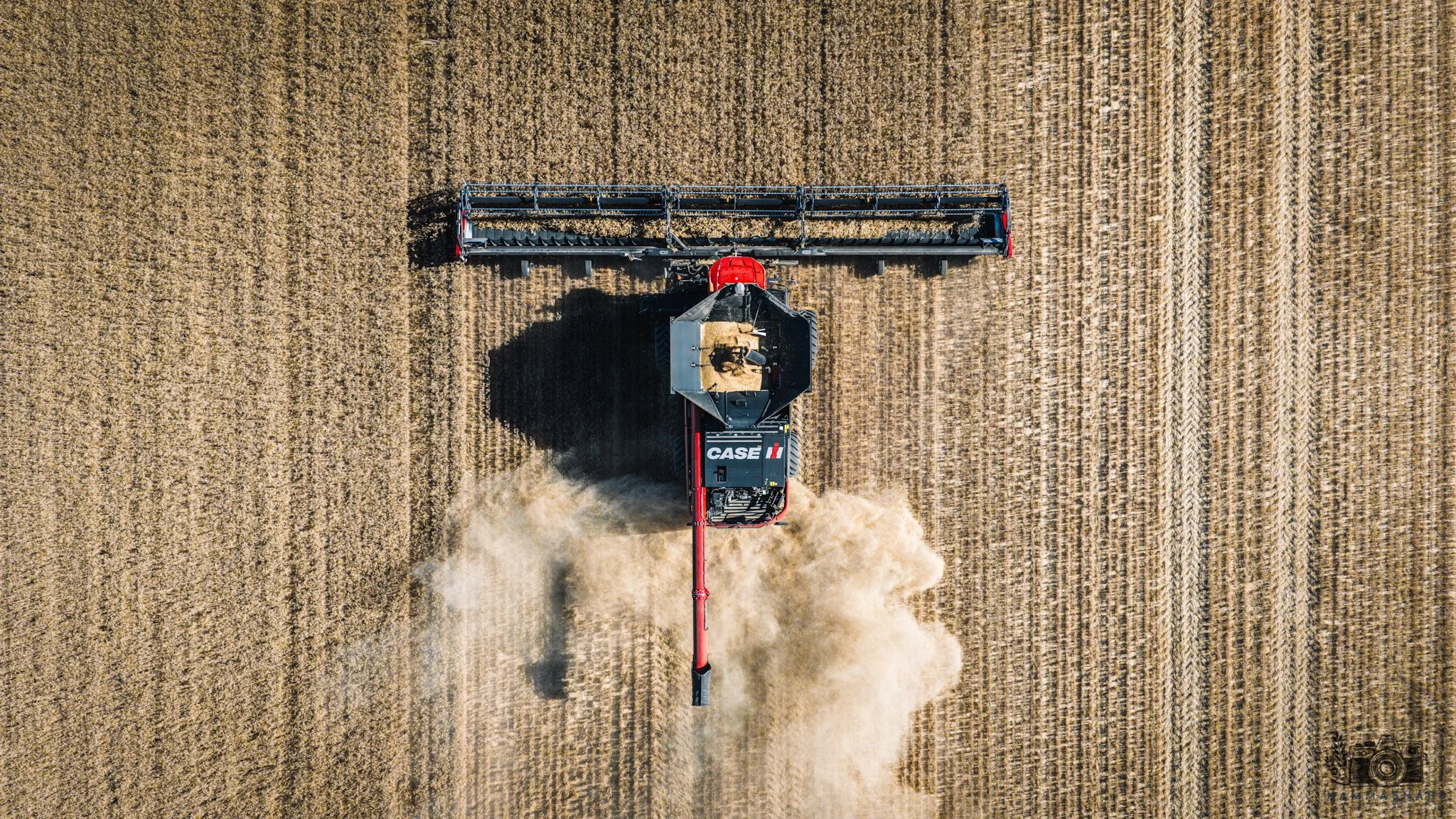 website Crop 2025-15.jpg