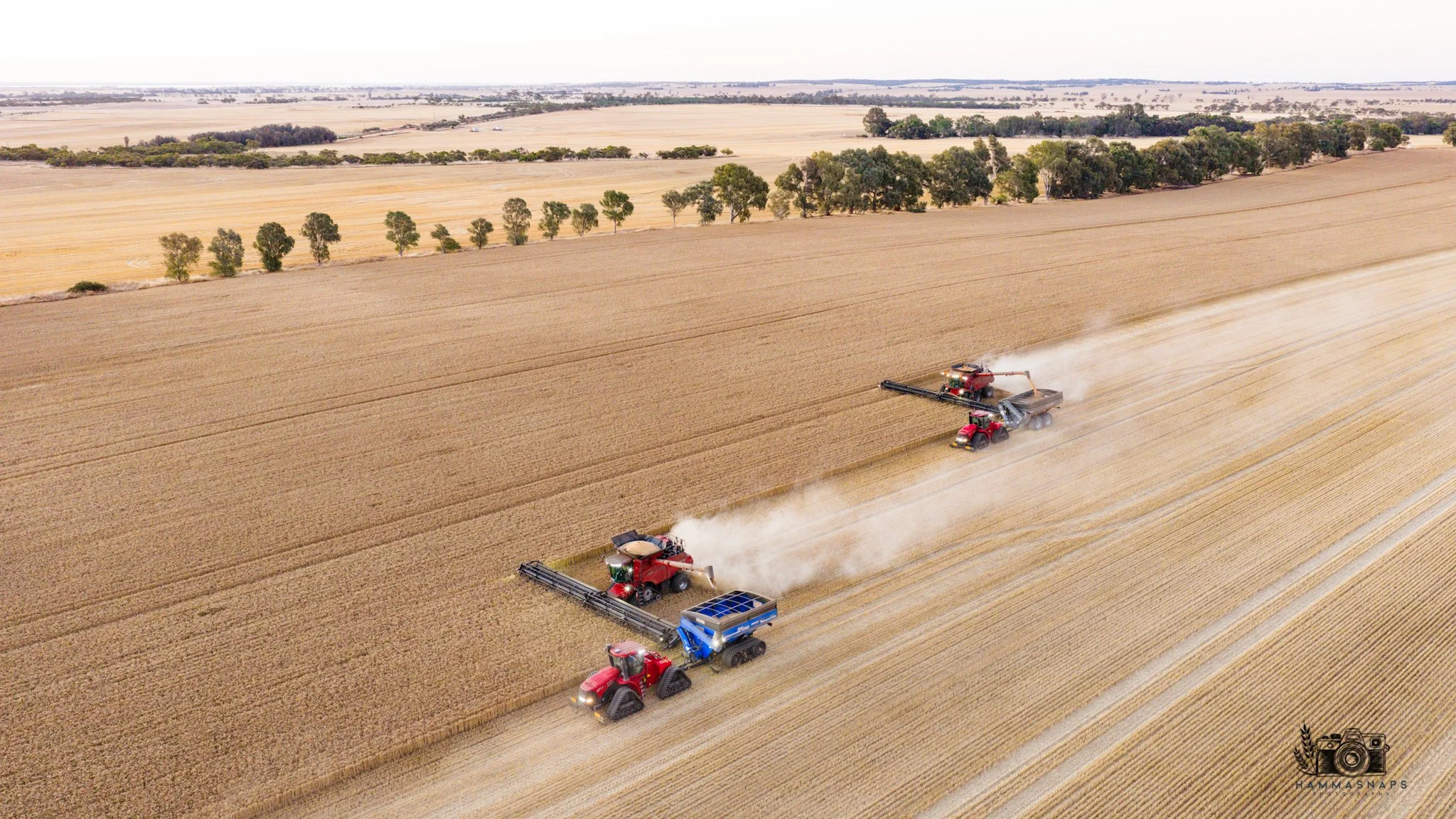 website Crop 2025-05.jpg