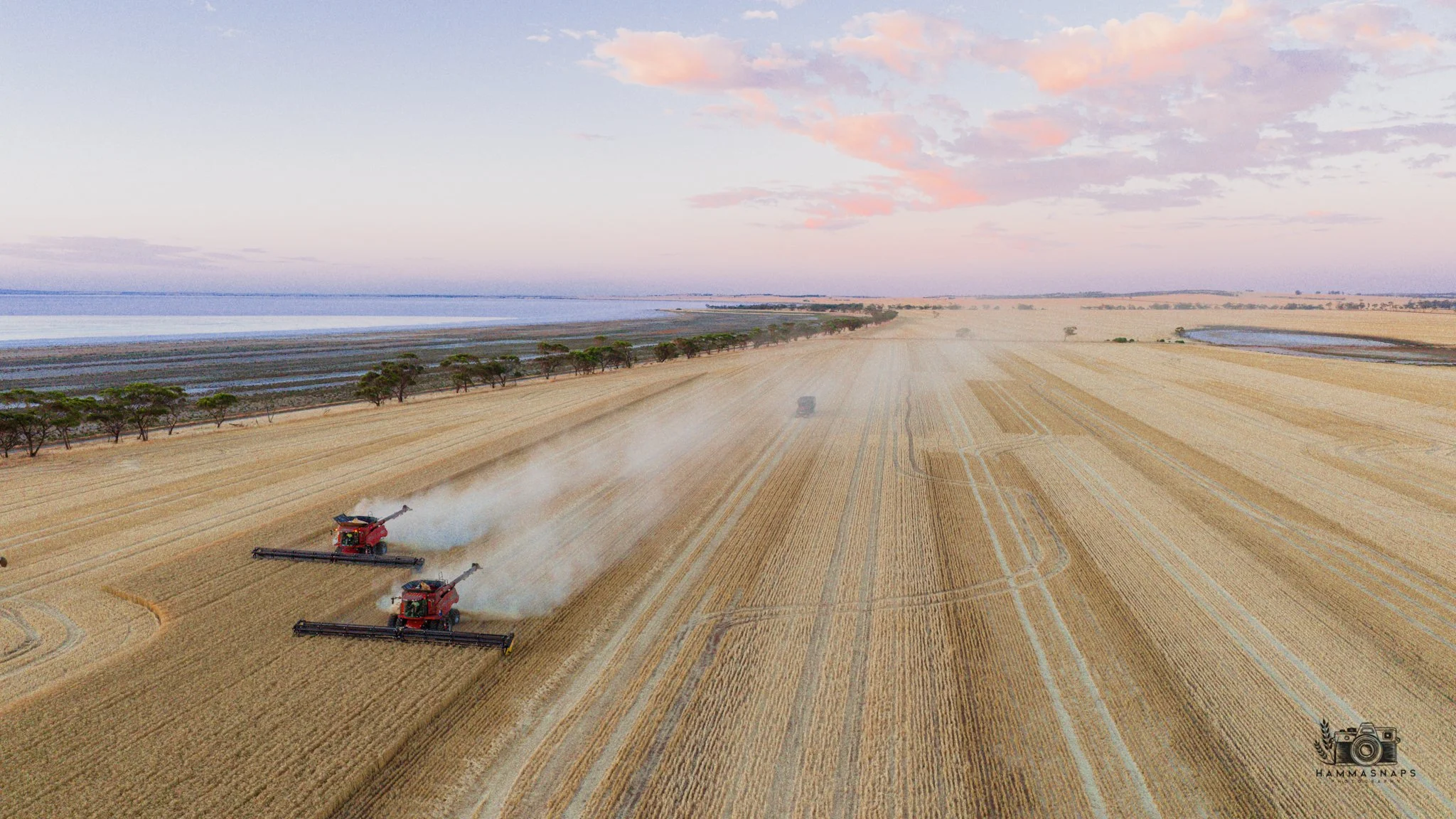 website Crop 2025-12.jpg