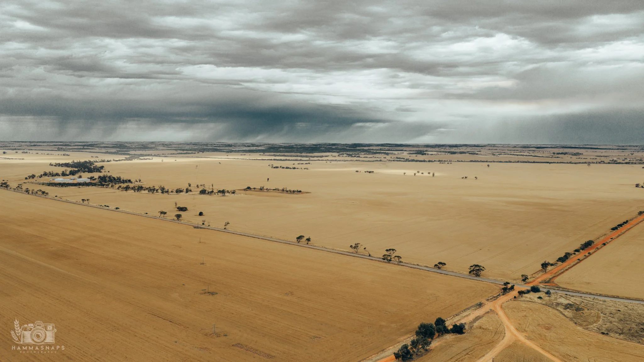 website Crop 2025-02.jpg