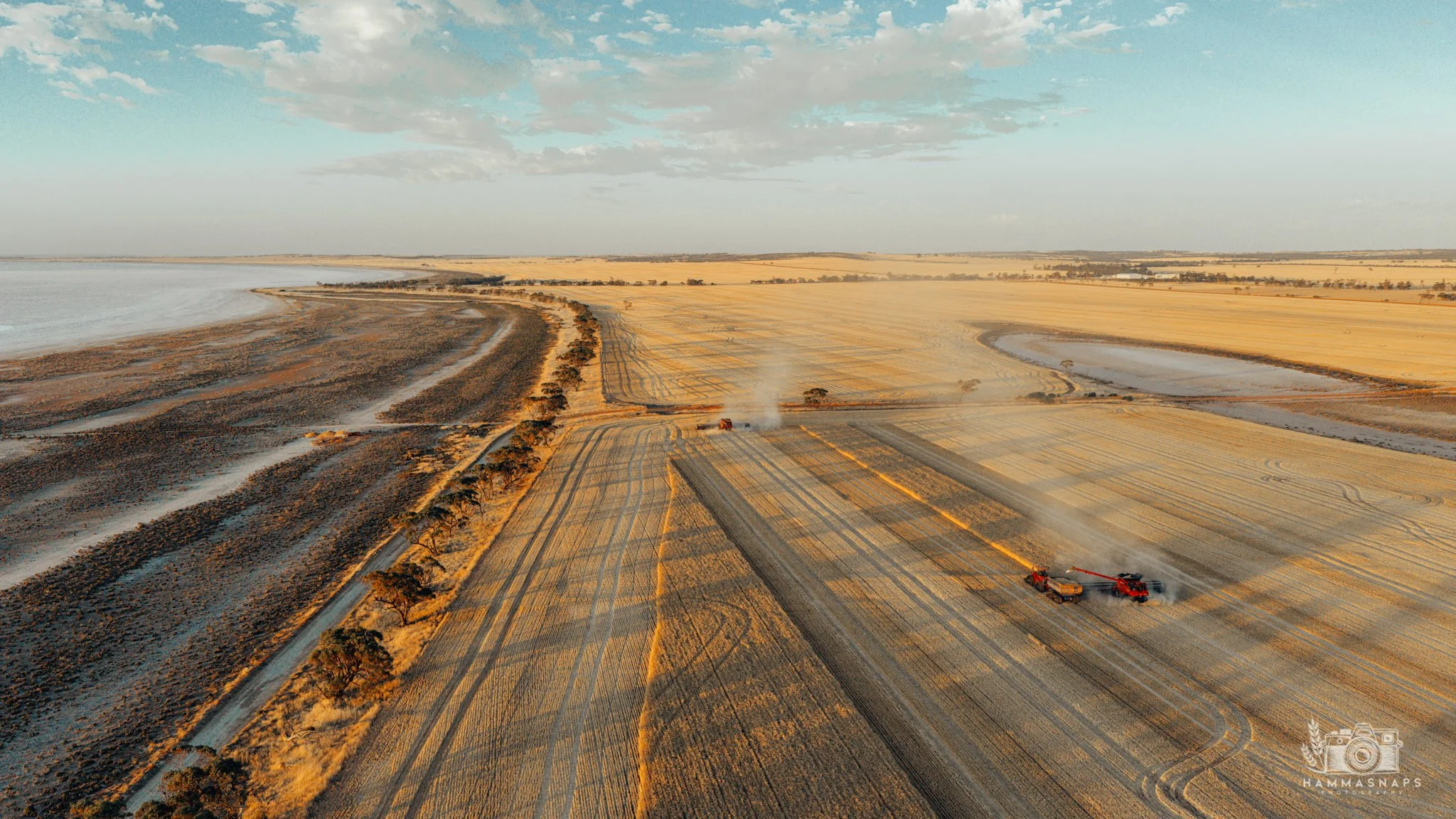 website Crop 2025-09.jpg