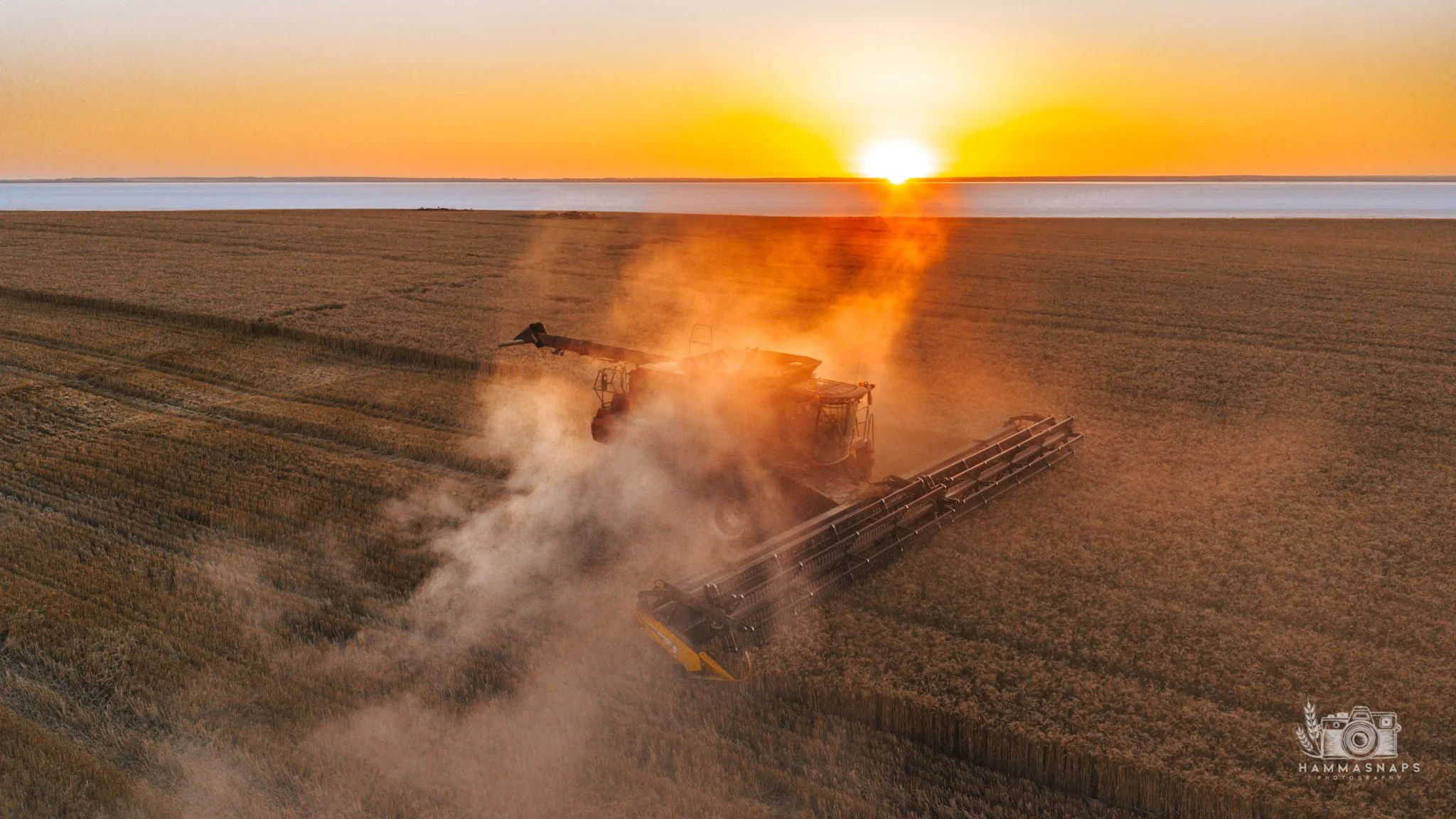 website Crop 2025-07.jpg