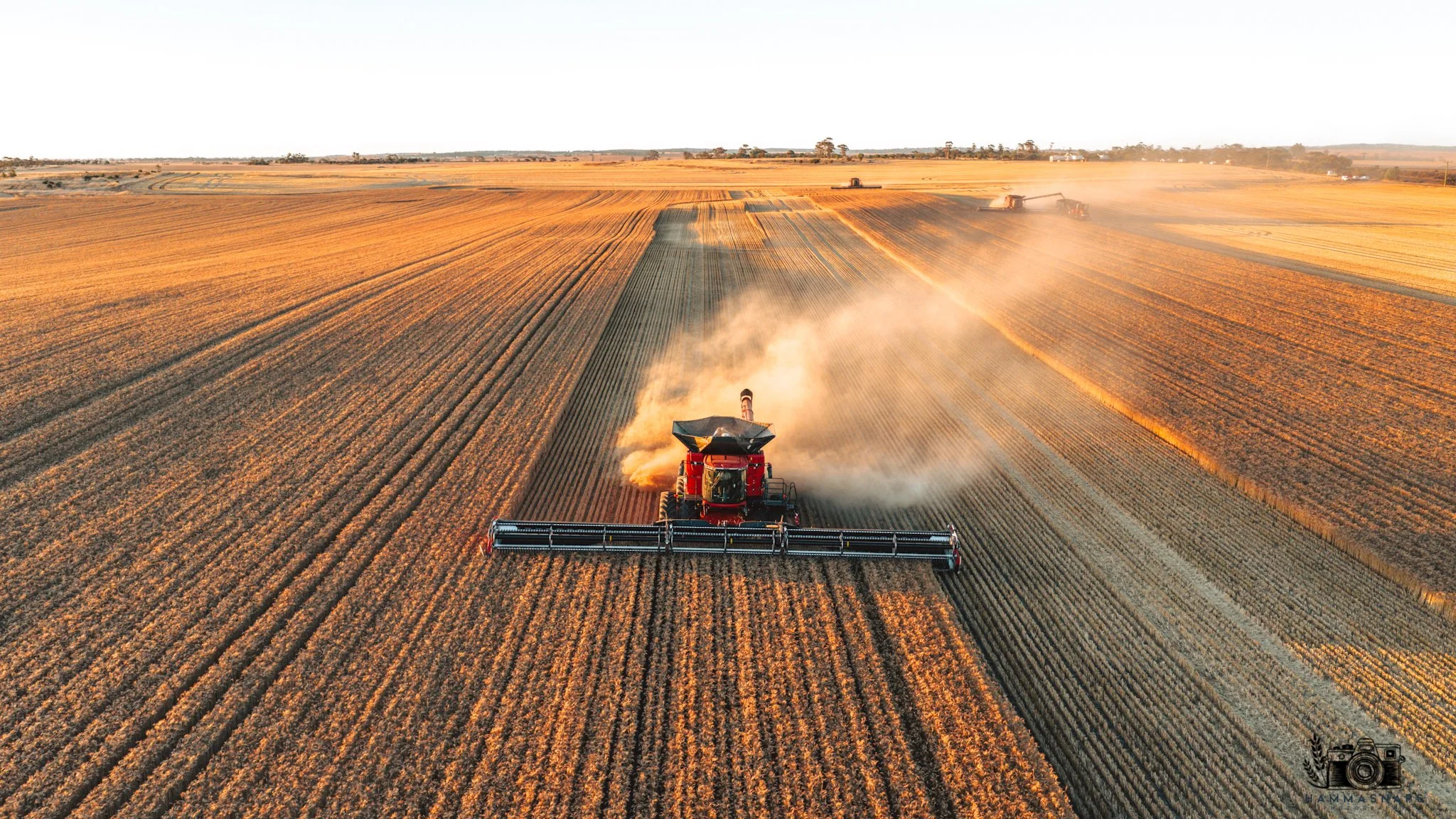 website Crop 2025-17.jpg