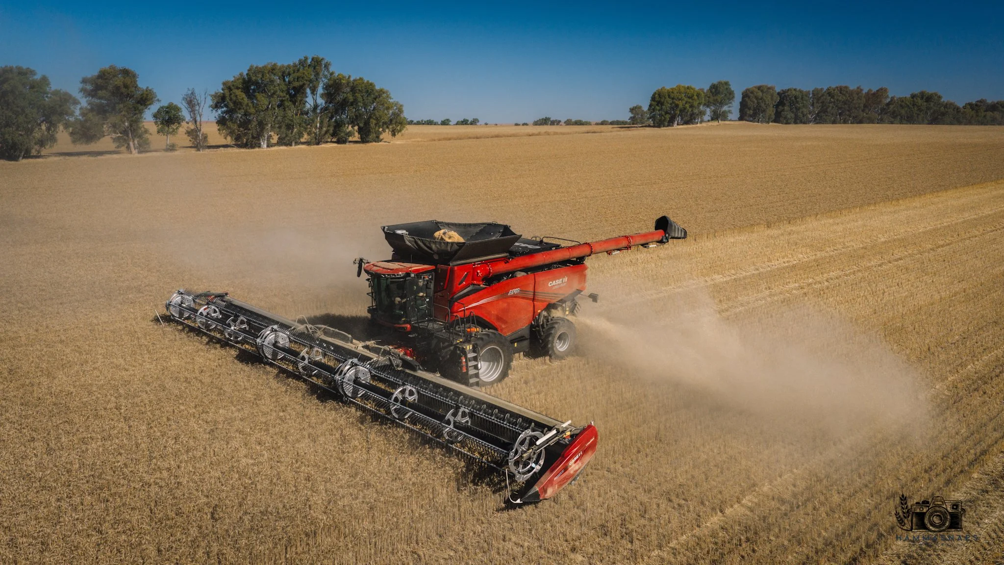 website Crop 2025-10.jpg