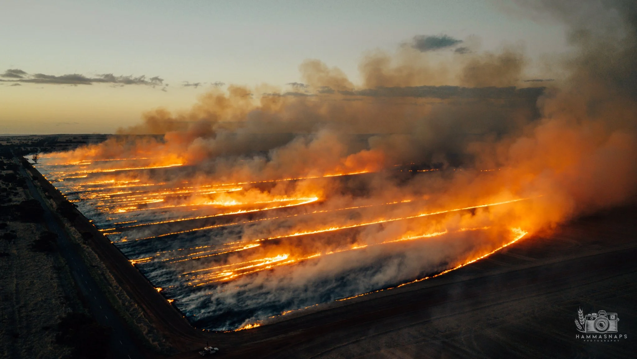 website Crop 2025-16.jpg