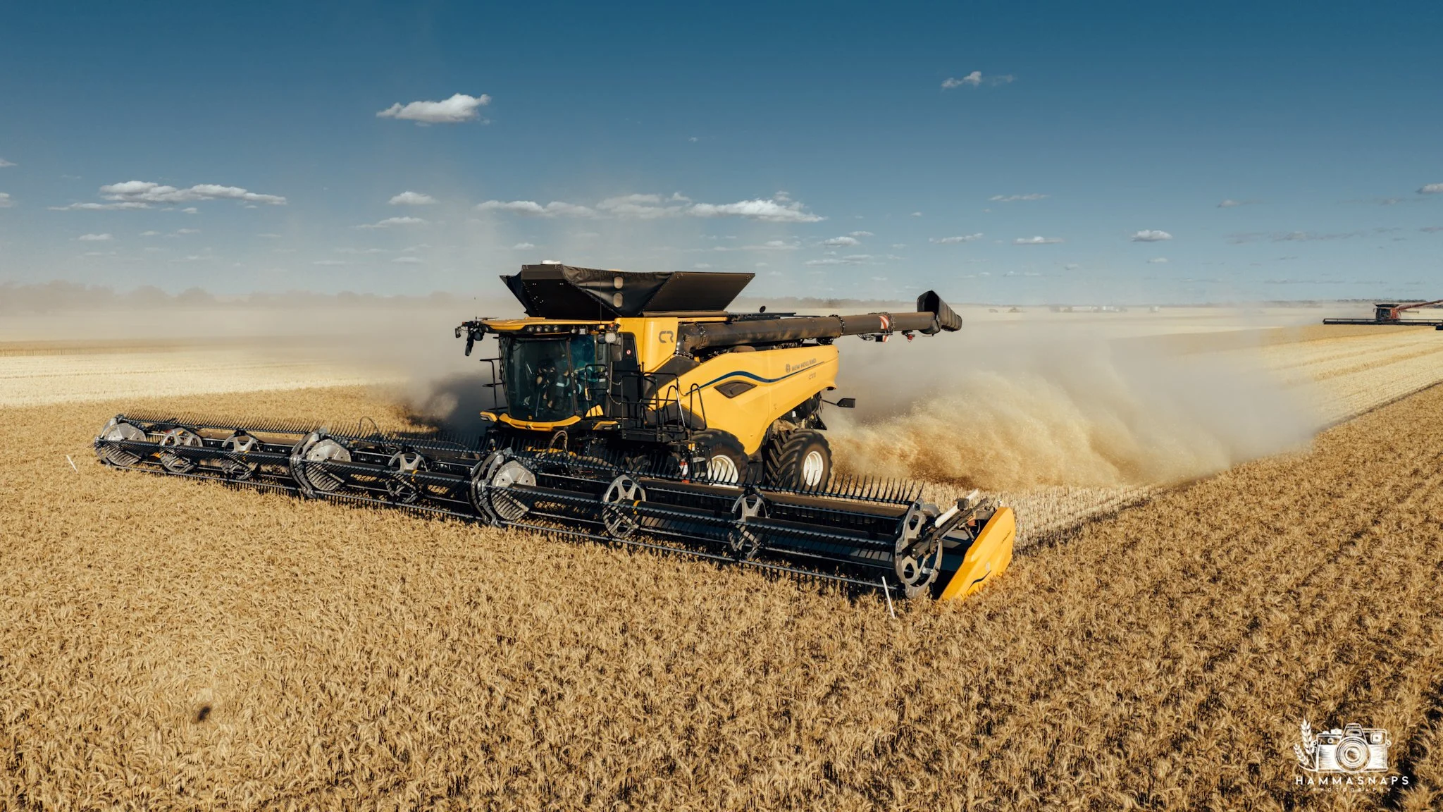 website Crop 2025-19.jpg