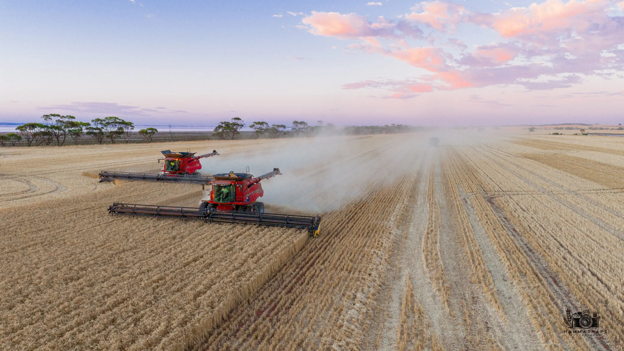 website Crop 2025-08.jpg