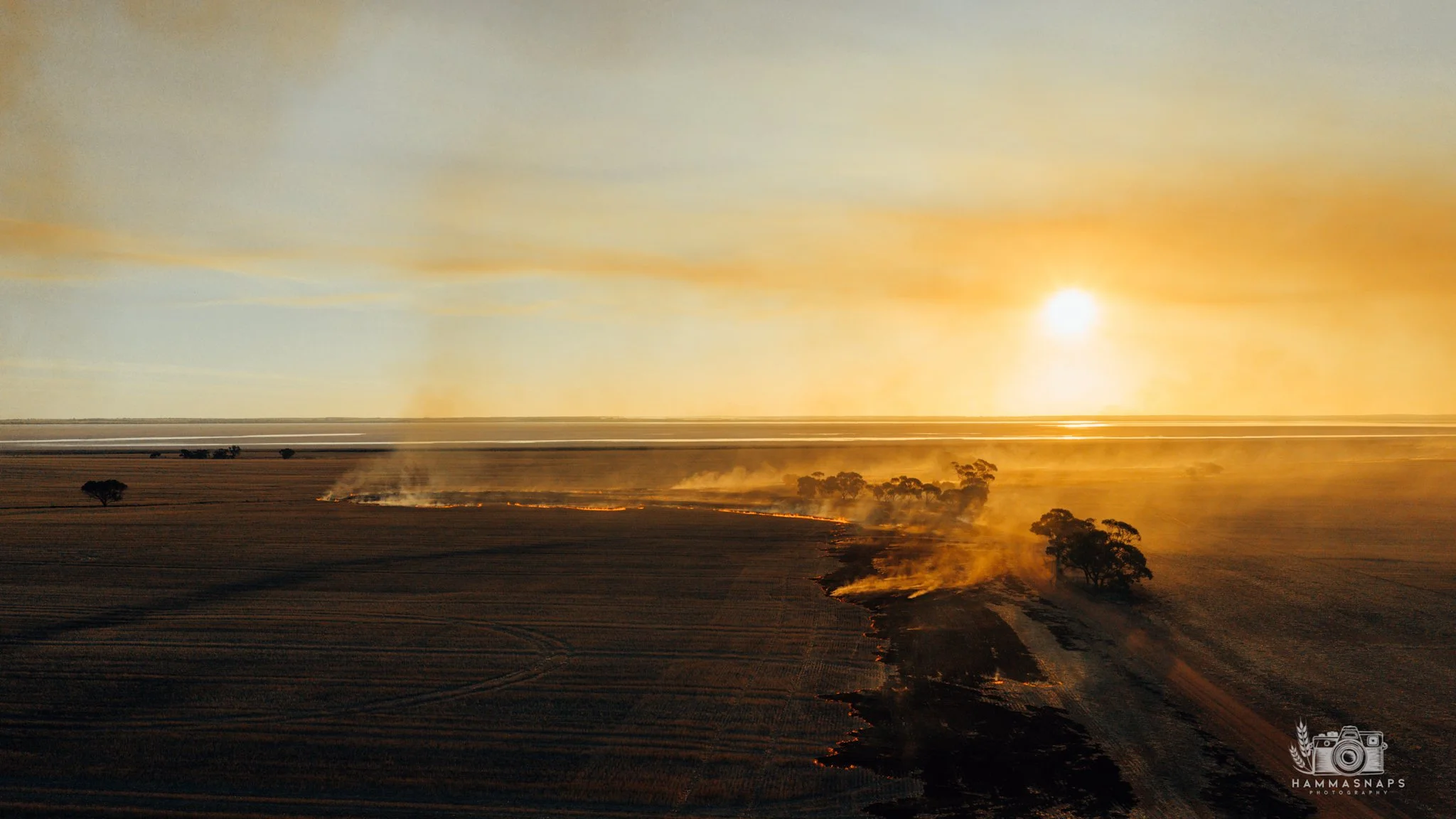 website Crop 2025-15.jpg