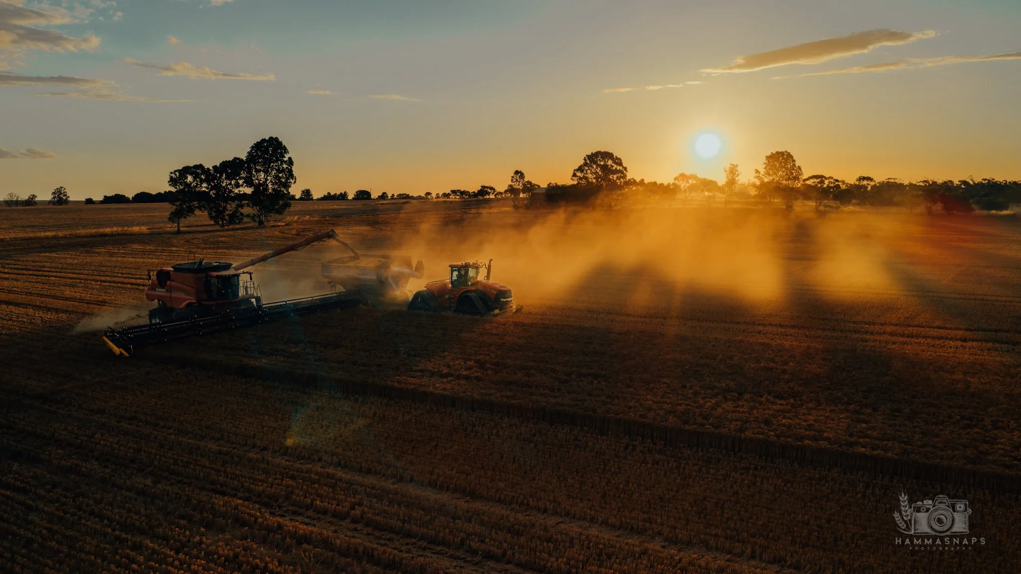 website Crop 2025-05(1).jpg