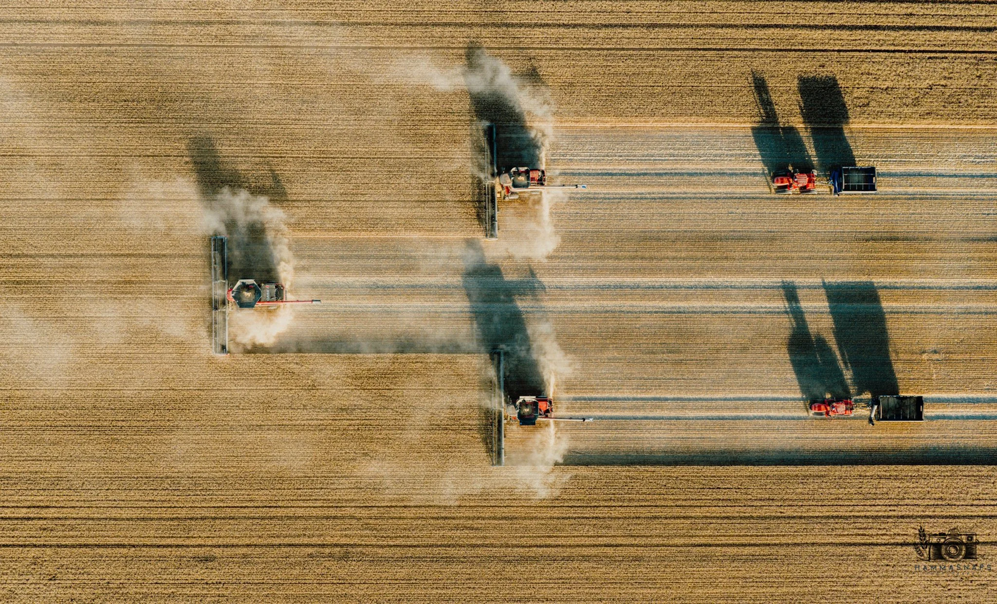 website Crop 2025-10(1).jpg