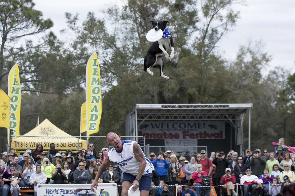 MIDWAY SHOWS — Sykesville Ag & Youth Fair June 1622, 2024