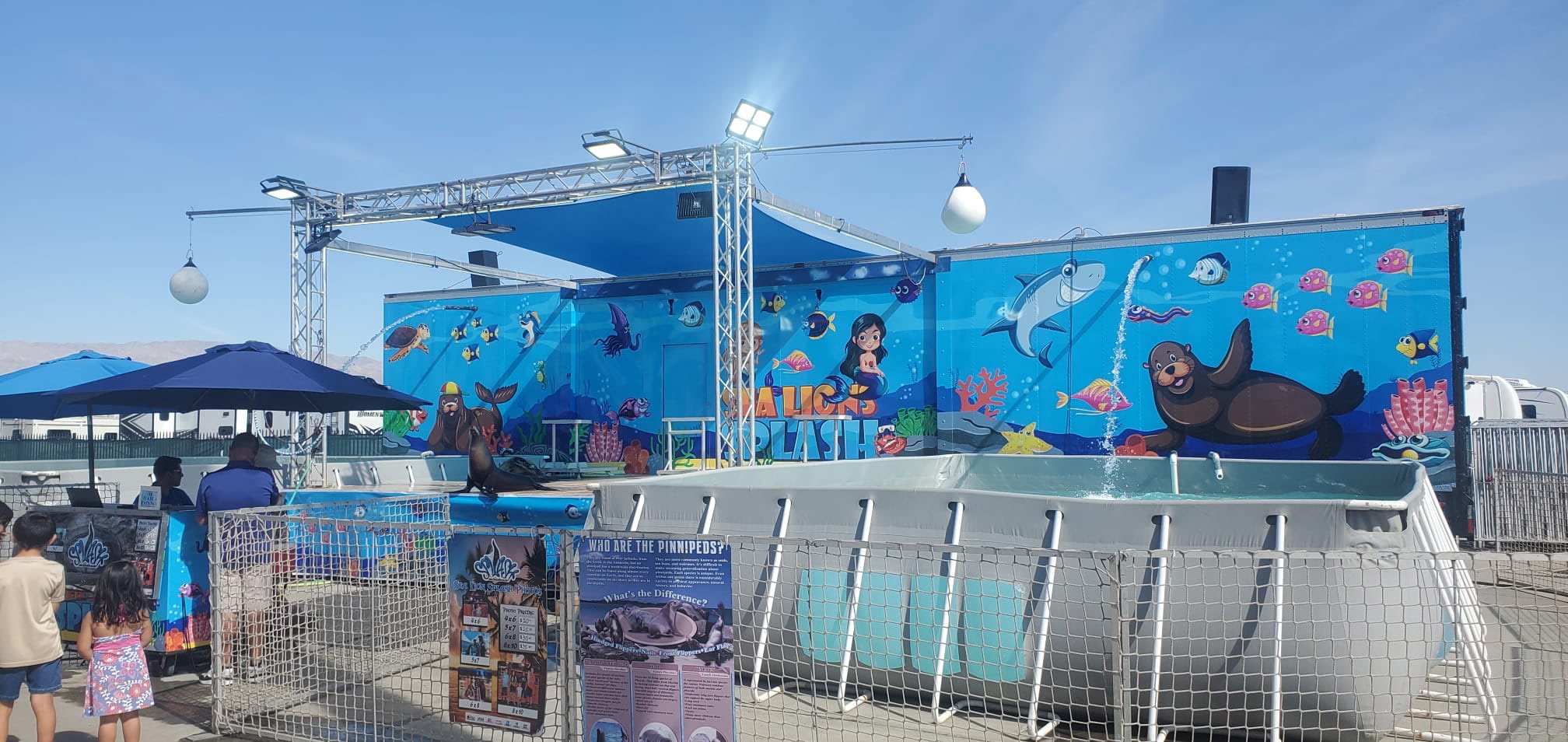 Sea Lion Splash