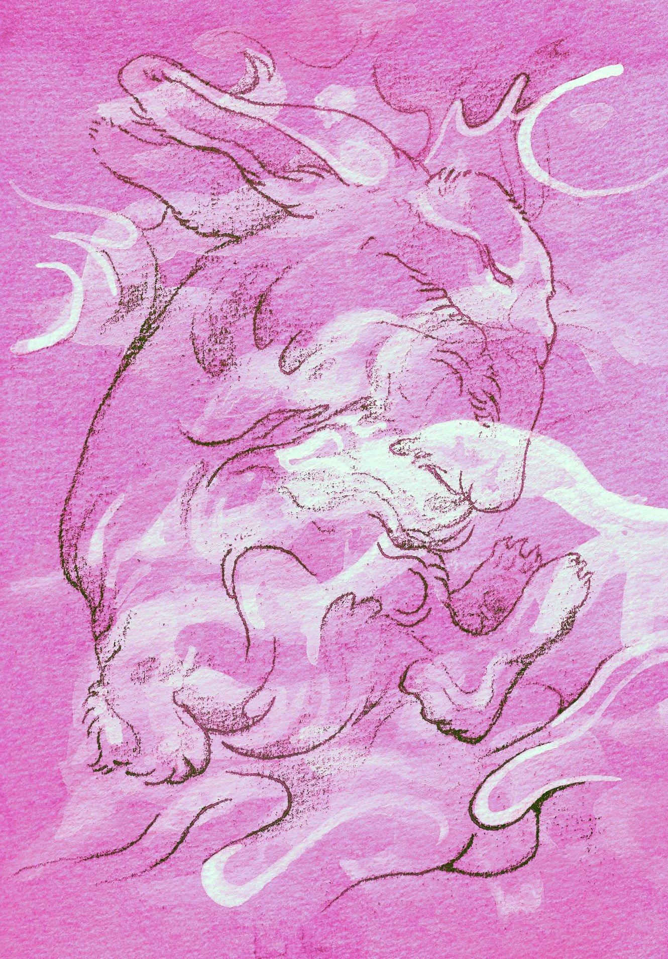 The Clouds Dream Too