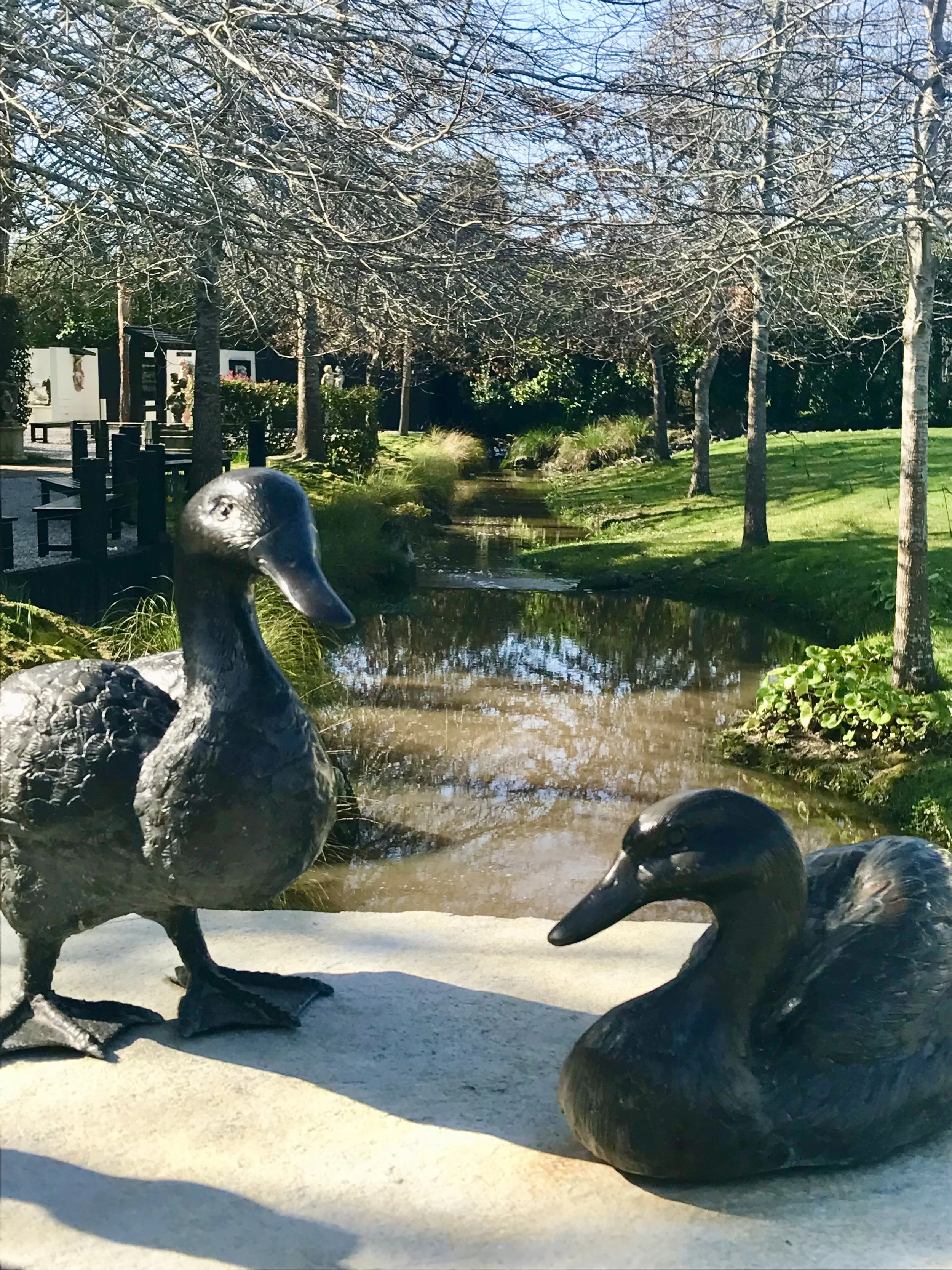 2024-09-01 14.55.52.jpg