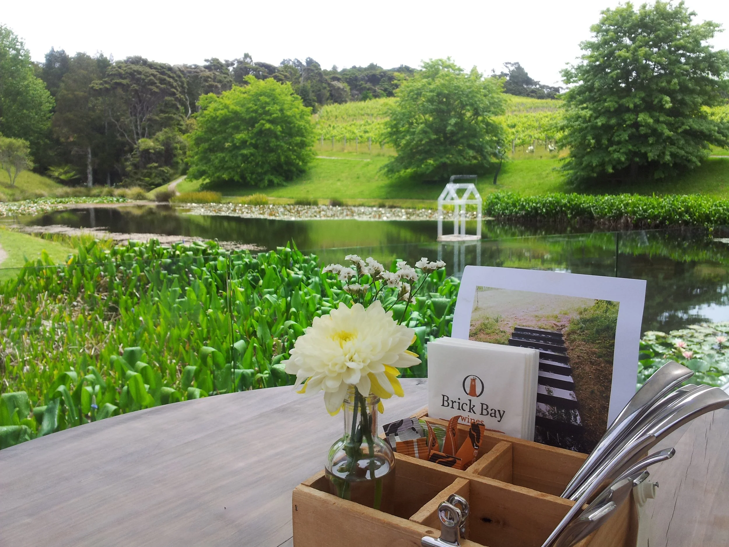 2015-11-29 14.07.59.jpg