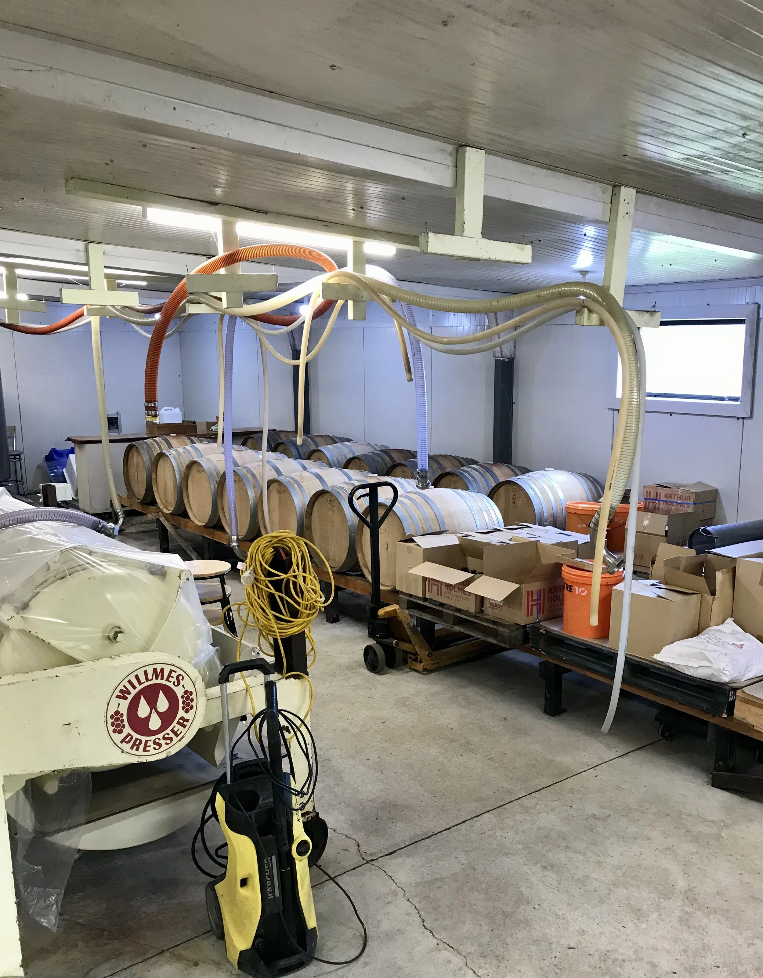 2024-09-01 12.36.17.jpg