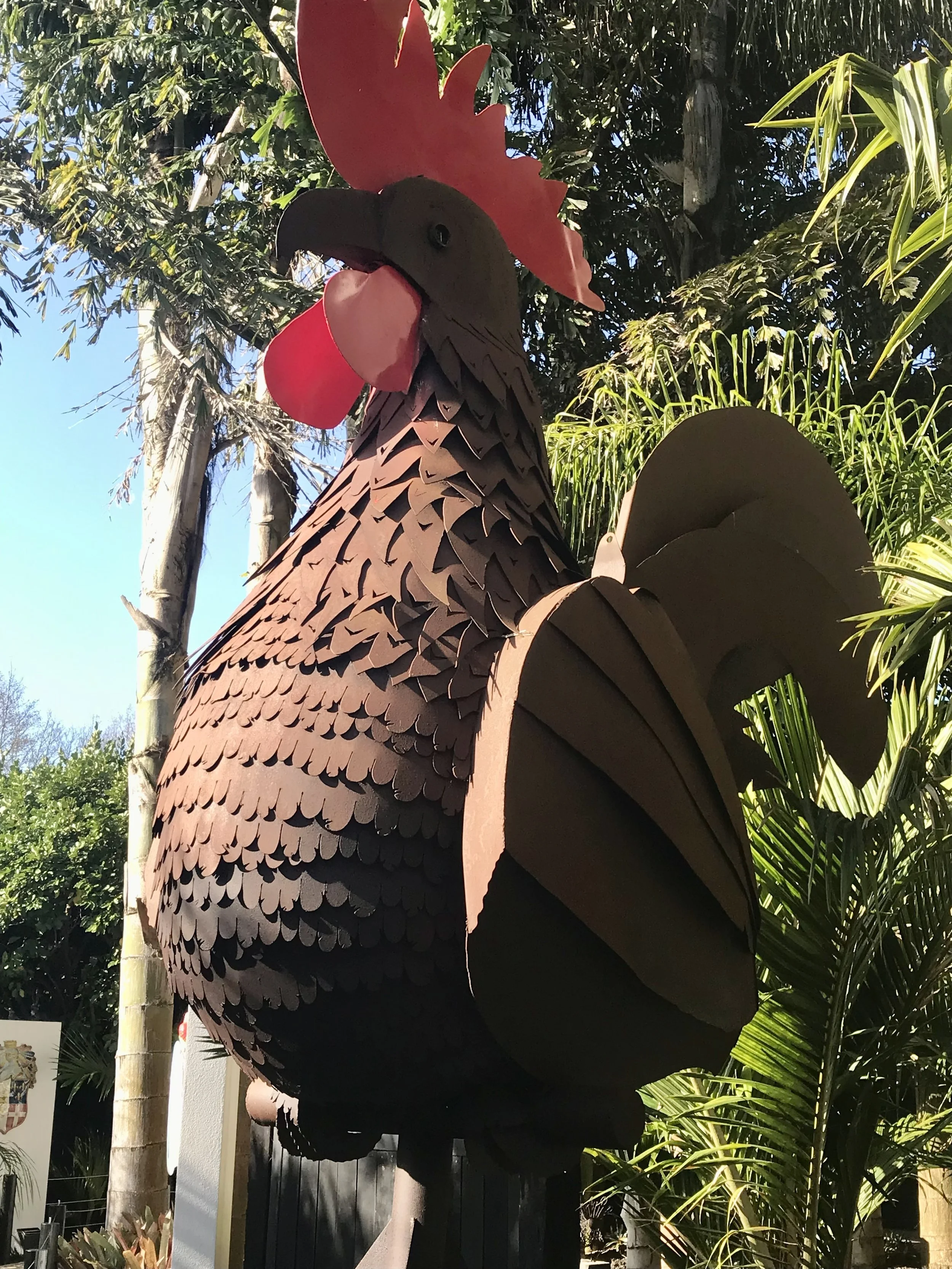 2024-09-01 15.11.54.jpg