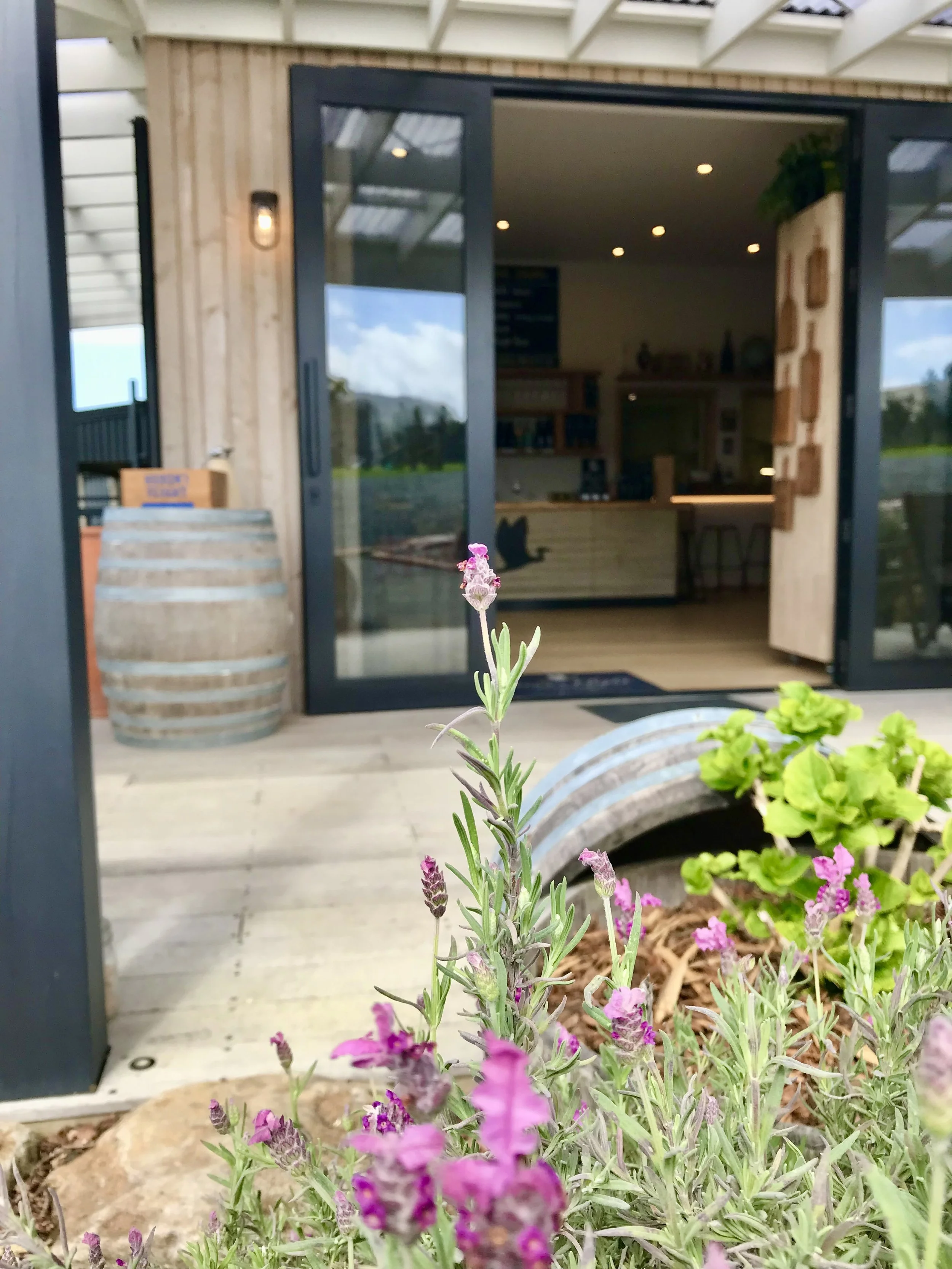 2024-09-01 12.06.54.jpg