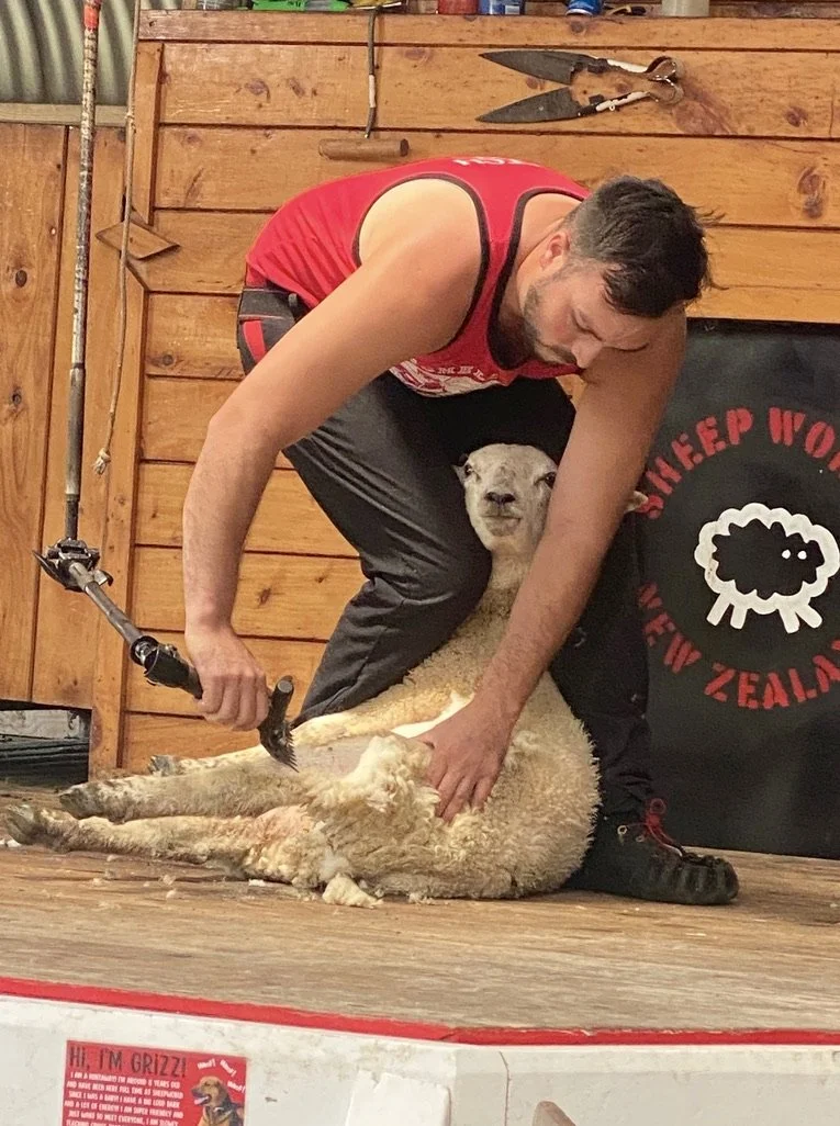 sheepworld image1_c.jpeg