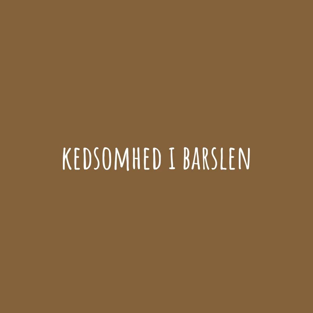 Barselsdagene kan nogle dage f&oslash;les lange og ensomme. En hverdag der cirkulerer rundt om mad, s&oslash;vn og bleskift er h&aring;rdt for alle! 

Men du beh&oslash;ver ikke klare det alene! Hos os kan du komme ned, grine, lege og have det sjovt 