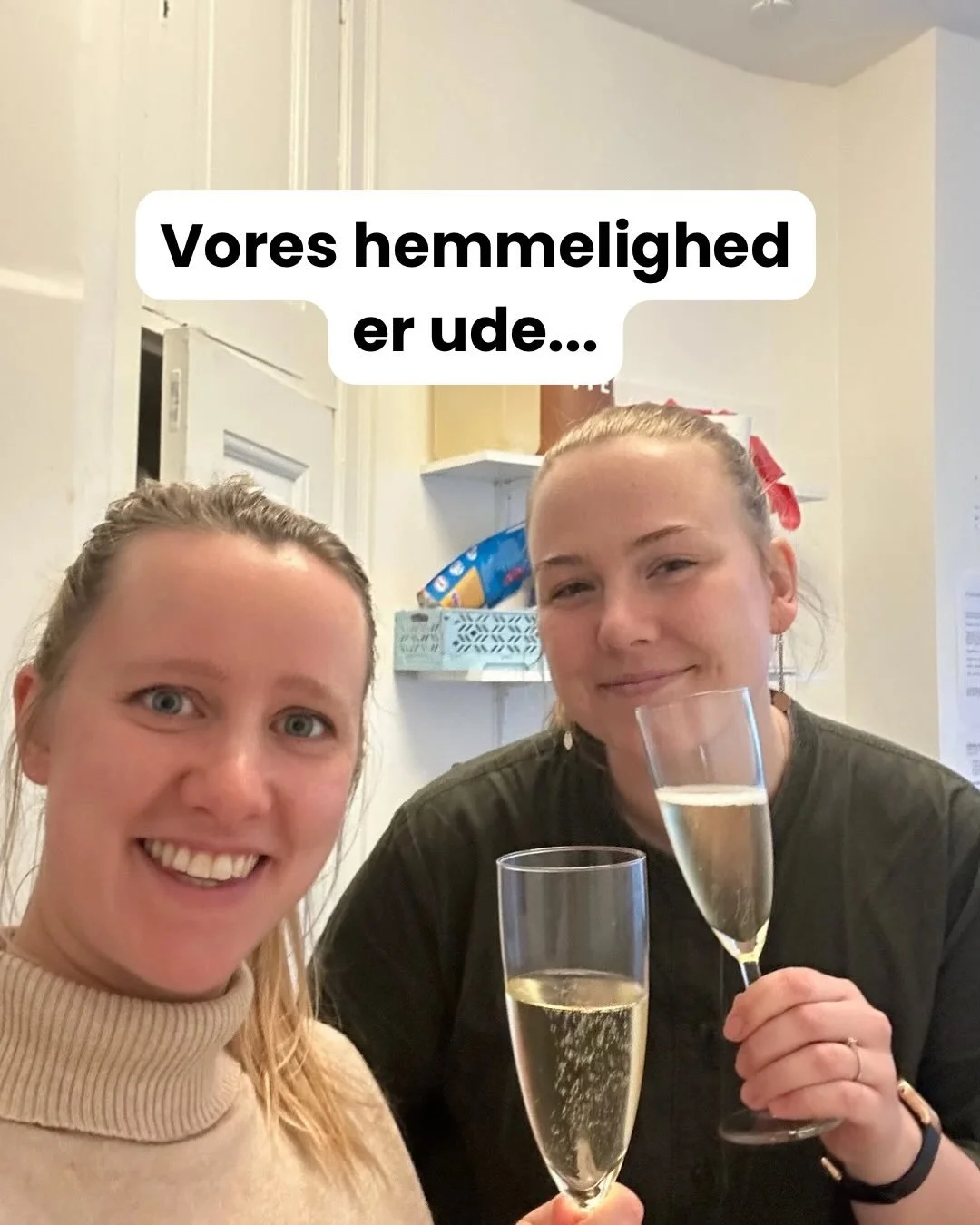 Vores helt nye webshop er endelig live!😍🥳

Vi har arbejdet i d&oslash;gndrift for at f&aring; alt til at spille &ndash; og nu er den klar!

Nu kan du blandt andet:
&bull; Nemmere finde de produkter du leder efter
&bull; S&oslash;ge direkte efter pr