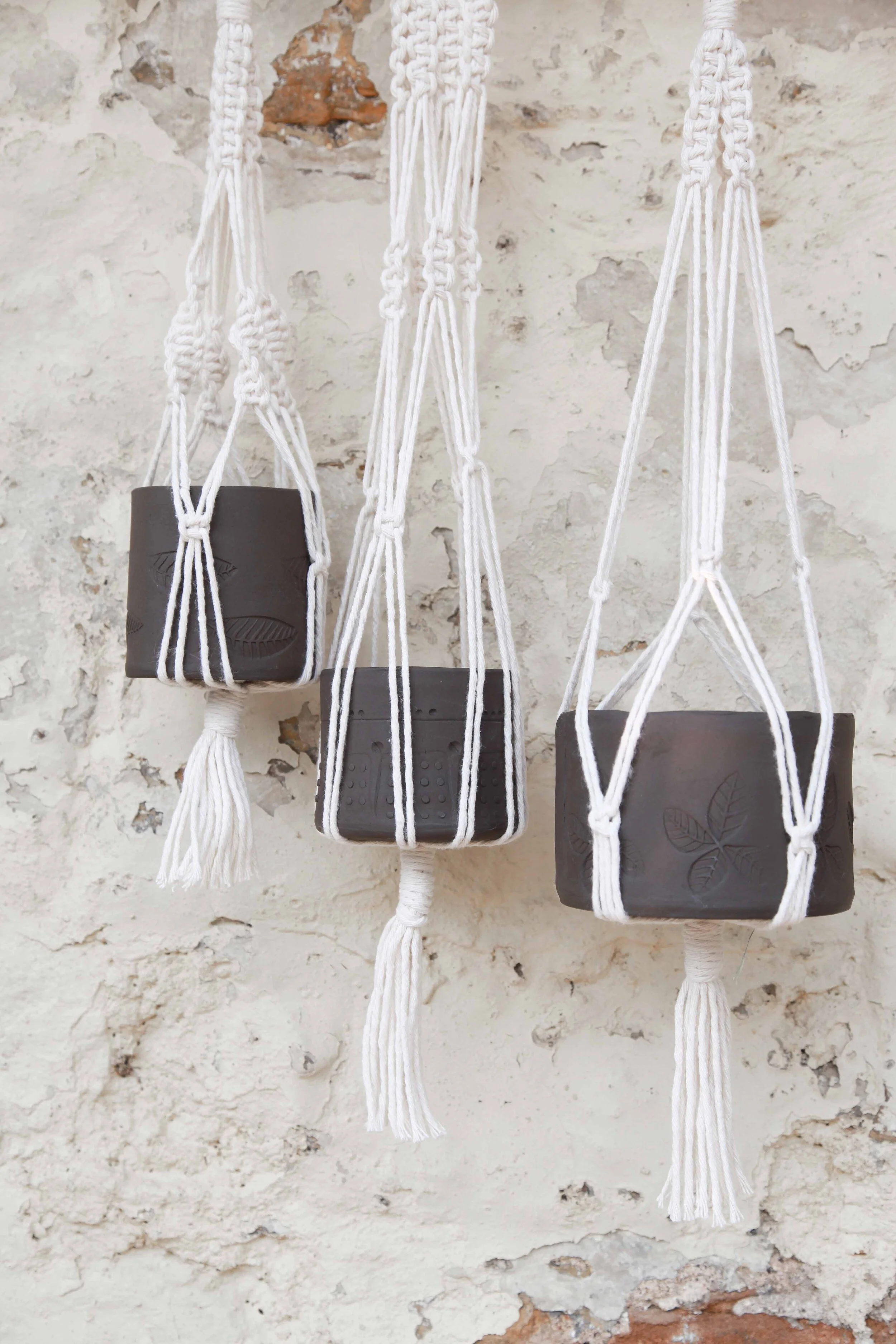 plant hanger with macrame hanger